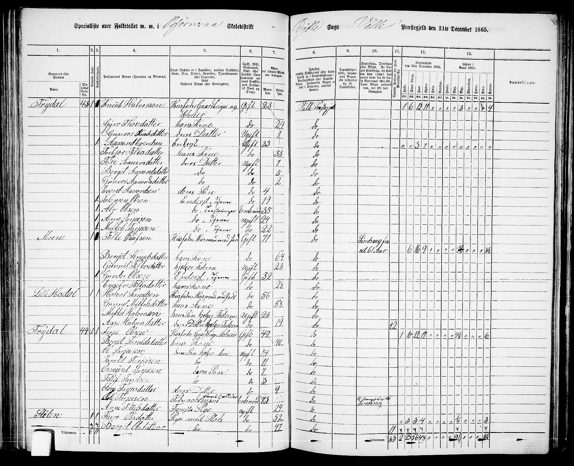 RA, 1865 census for Valle, 1865, p. 77