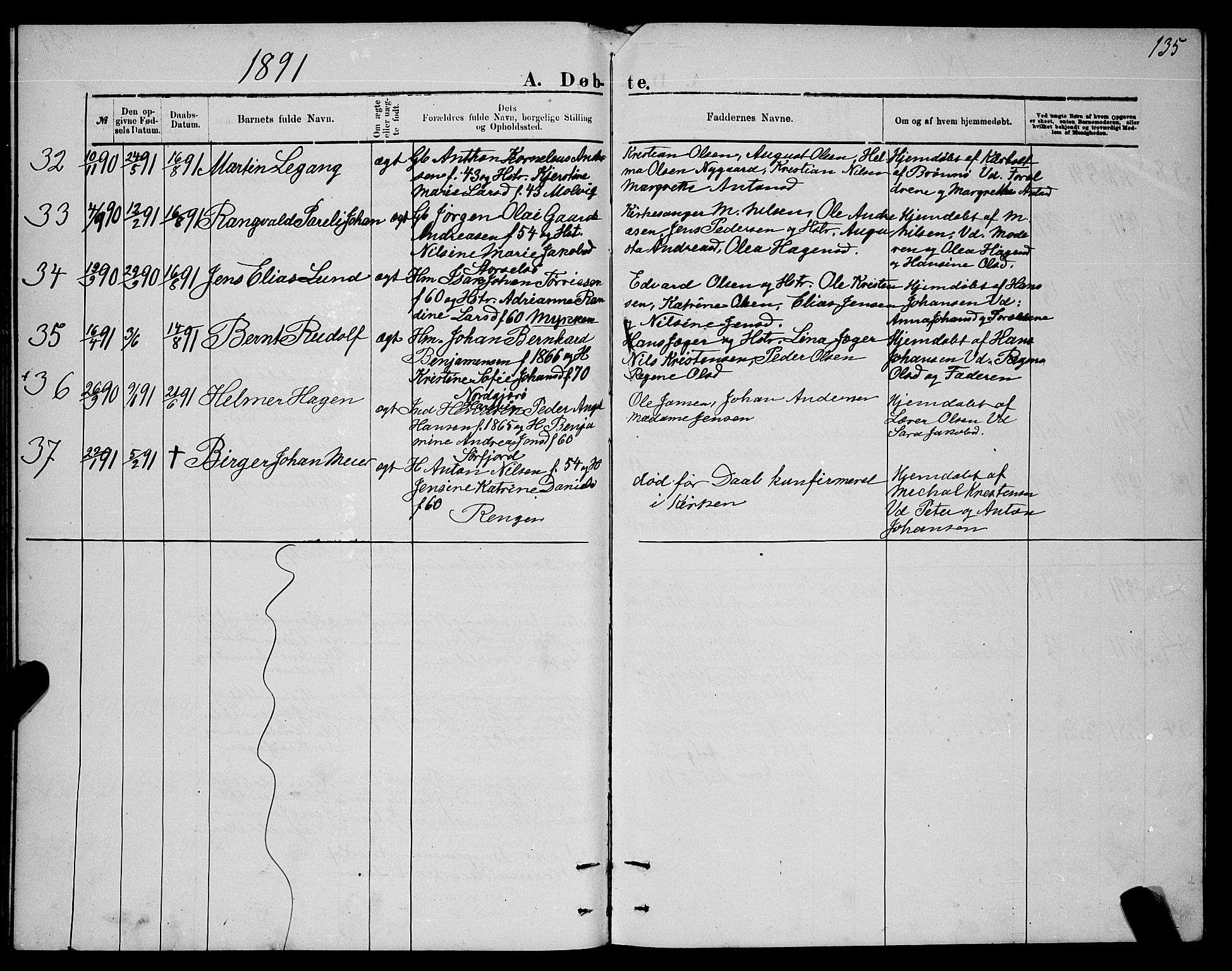 Ministerialprotokoller, klokkerbøker og fødselsregistre - Nordland, AV/SAT-A-1459/841/L0620: Parish register (copy) no. 841C04, 1877-1896, p. 135