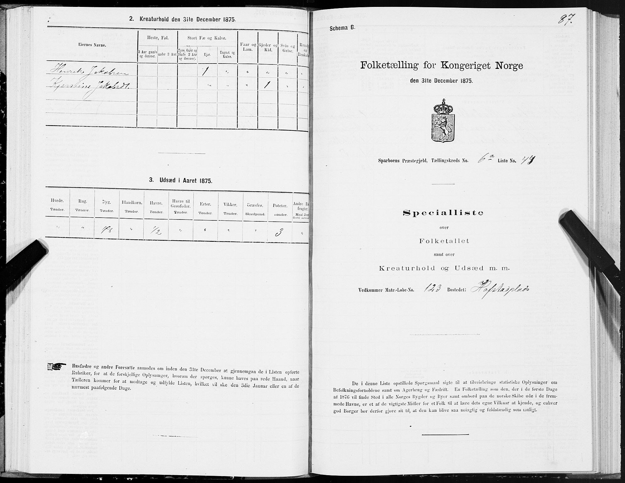 SAT, 1875 census for 1731P Sparbu, 1875, p. 3087