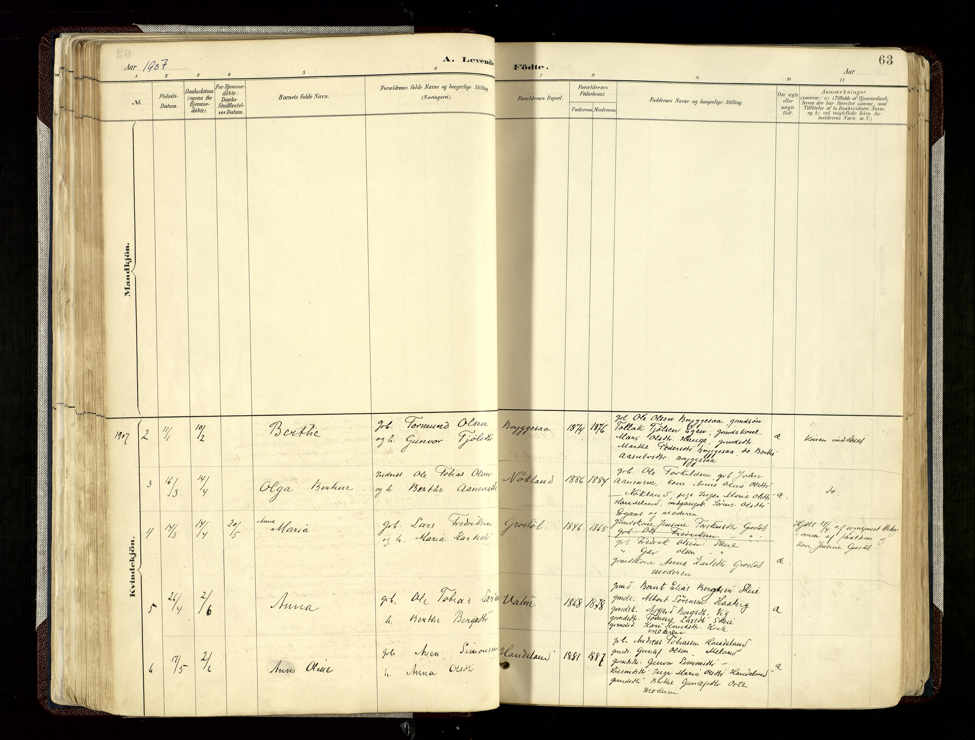 Hægebostad sokneprestkontor, SAK/1111-0024/F/Fa/Fab/L0004: Parish register (official) no. A 4, 1887-1929, p. 63