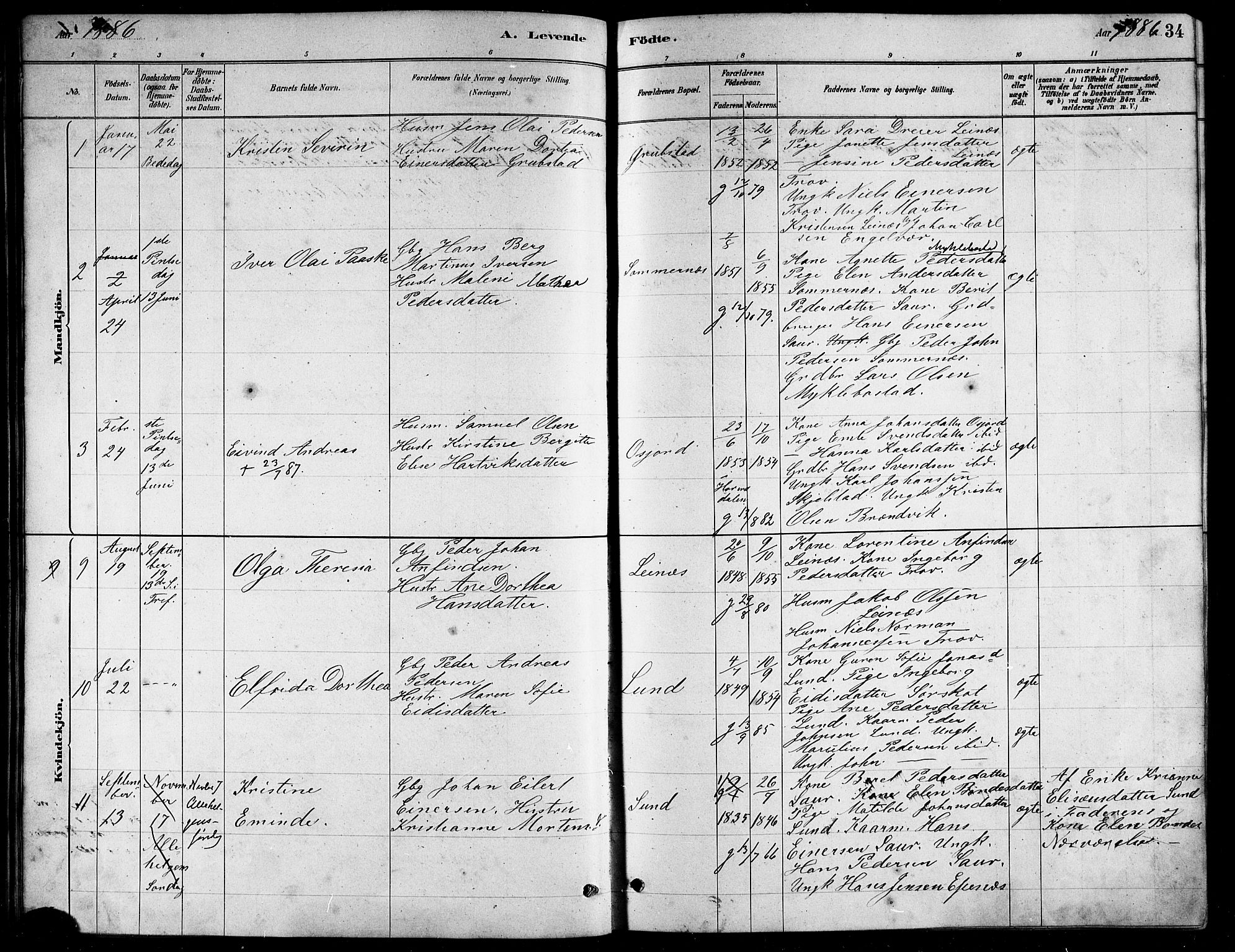 Ministerialprotokoller, klokkerbøker og fødselsregistre - Nordland, AV/SAT-A-1459/857/L0828: Parish register (copy) no. 857C03, 1879-1908, p. 34