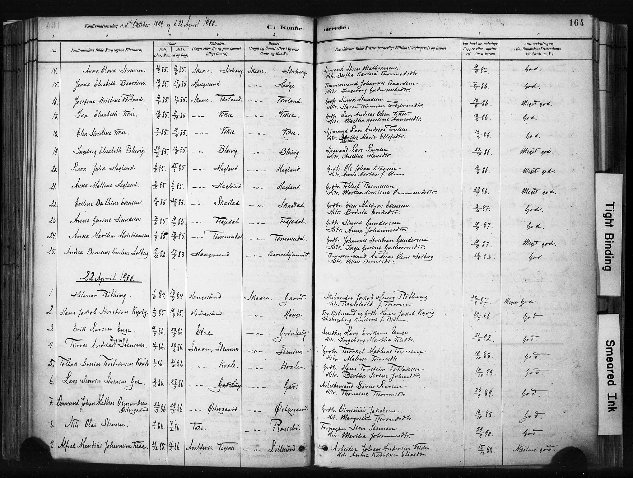 Haugesund sokneprestkontor, AV/SAST-A -101863/H/Ha/Haa/L0004: Parish register (official) no. A 4, 1886-1908, p. 164