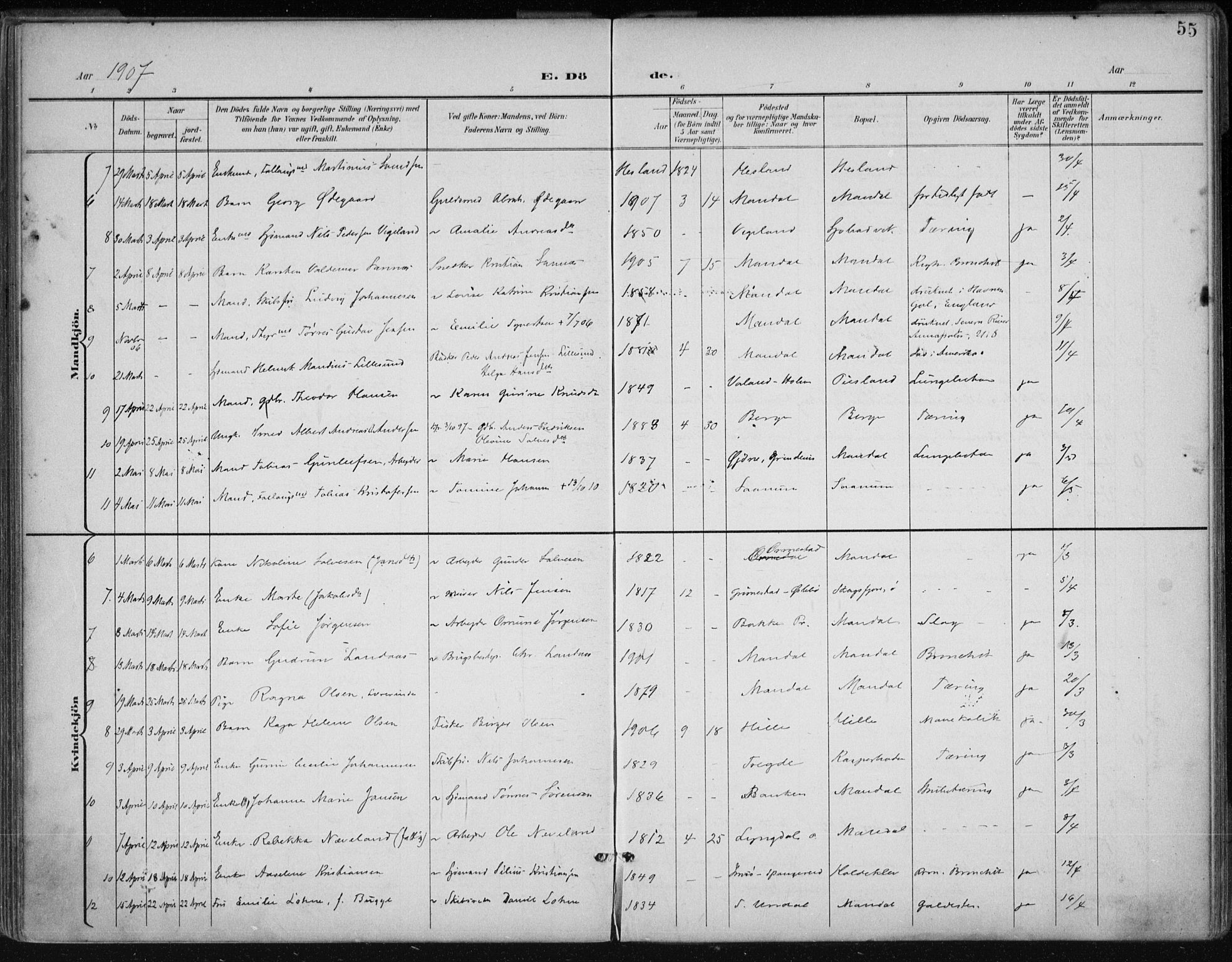 Mandal sokneprestkontor, AV/SAK-1111-0030/F/Fa/Faa/L0021: Parish register (official) no. A 21, 1898-1913, p. 55