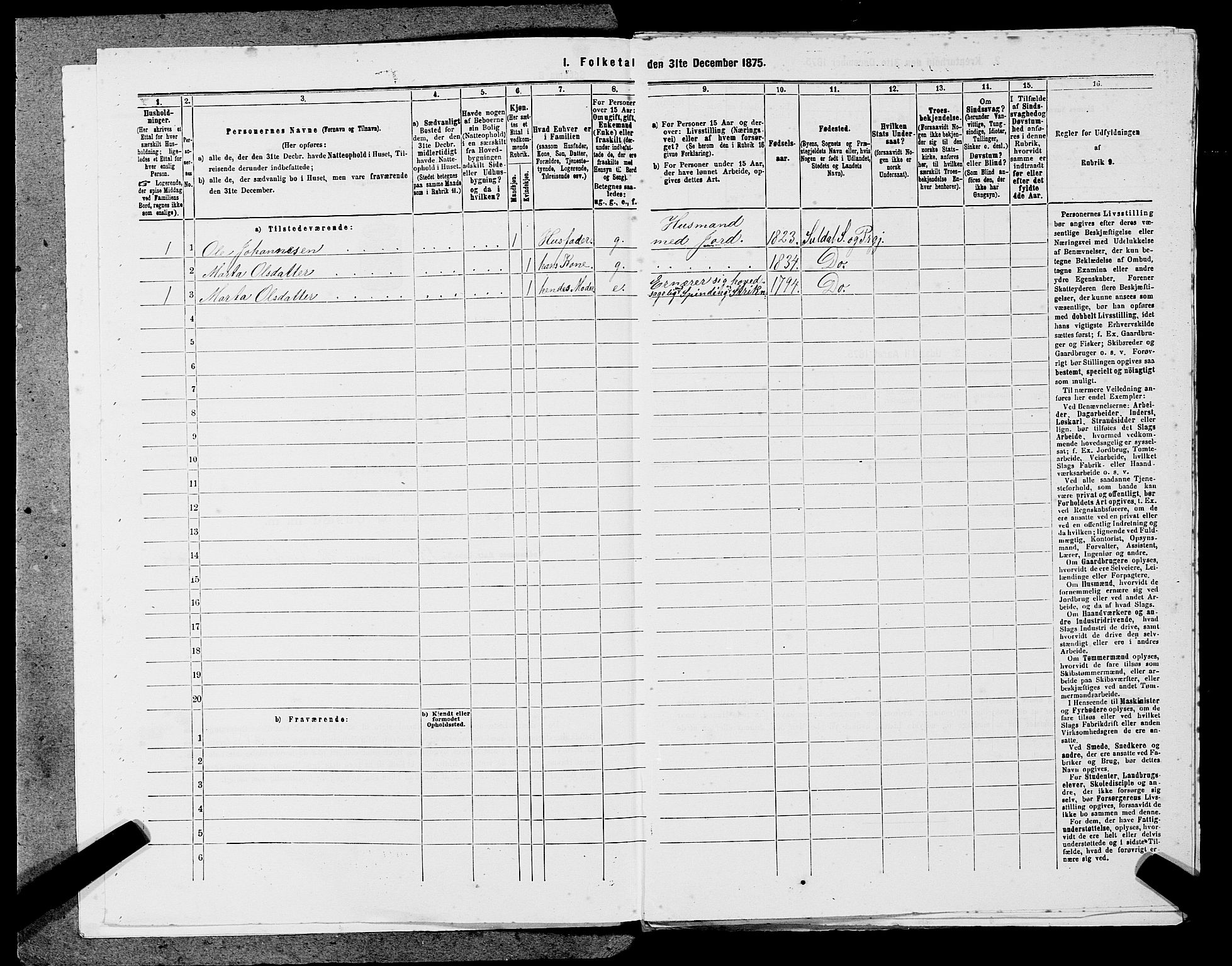 SAST, 1875 census for 1134P Suldal, 1875, p. 504