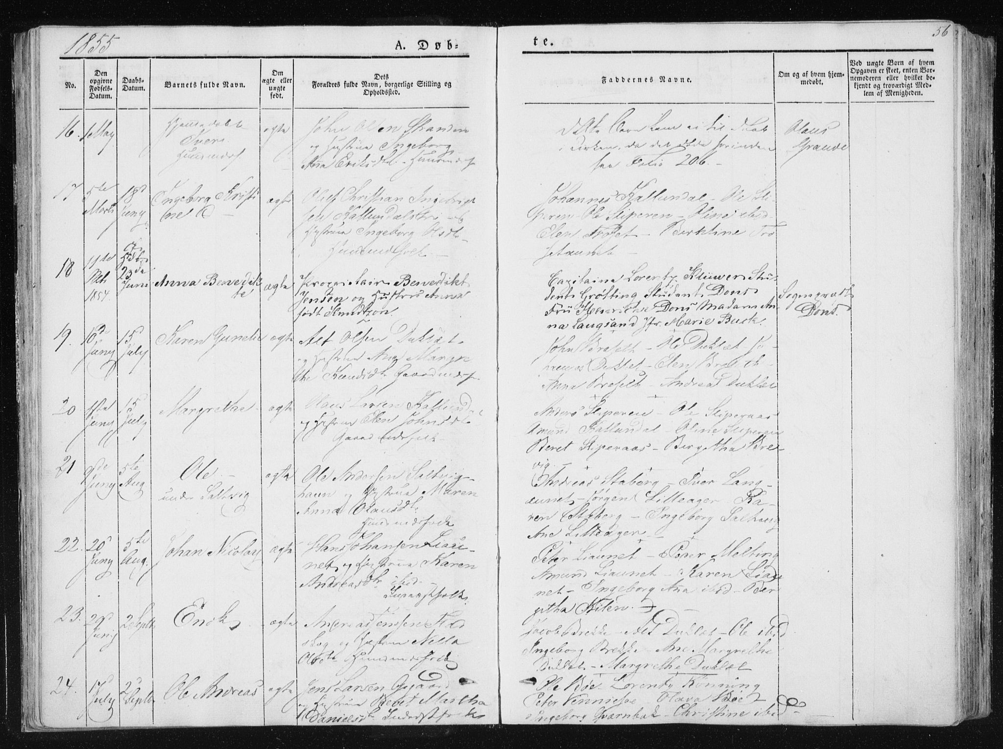 Ministerialprotokoller, klokkerbøker og fødselsregistre - Nord-Trøndelag, AV/SAT-A-1458/733/L0323: Parish register (official) no. 733A02, 1843-1870, p. 56