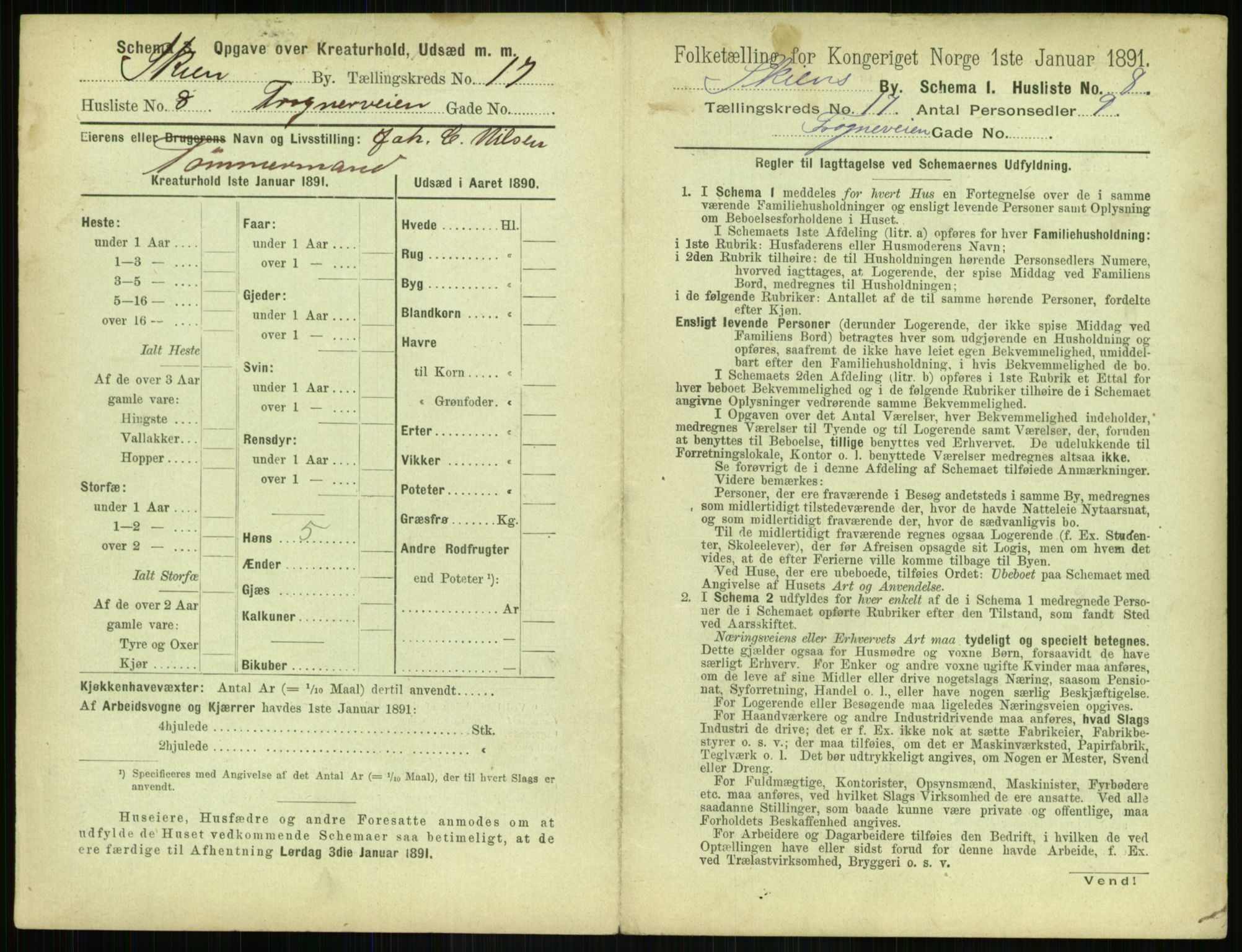 RA, 1891 census for 0806 Skien, 1891, p. 684