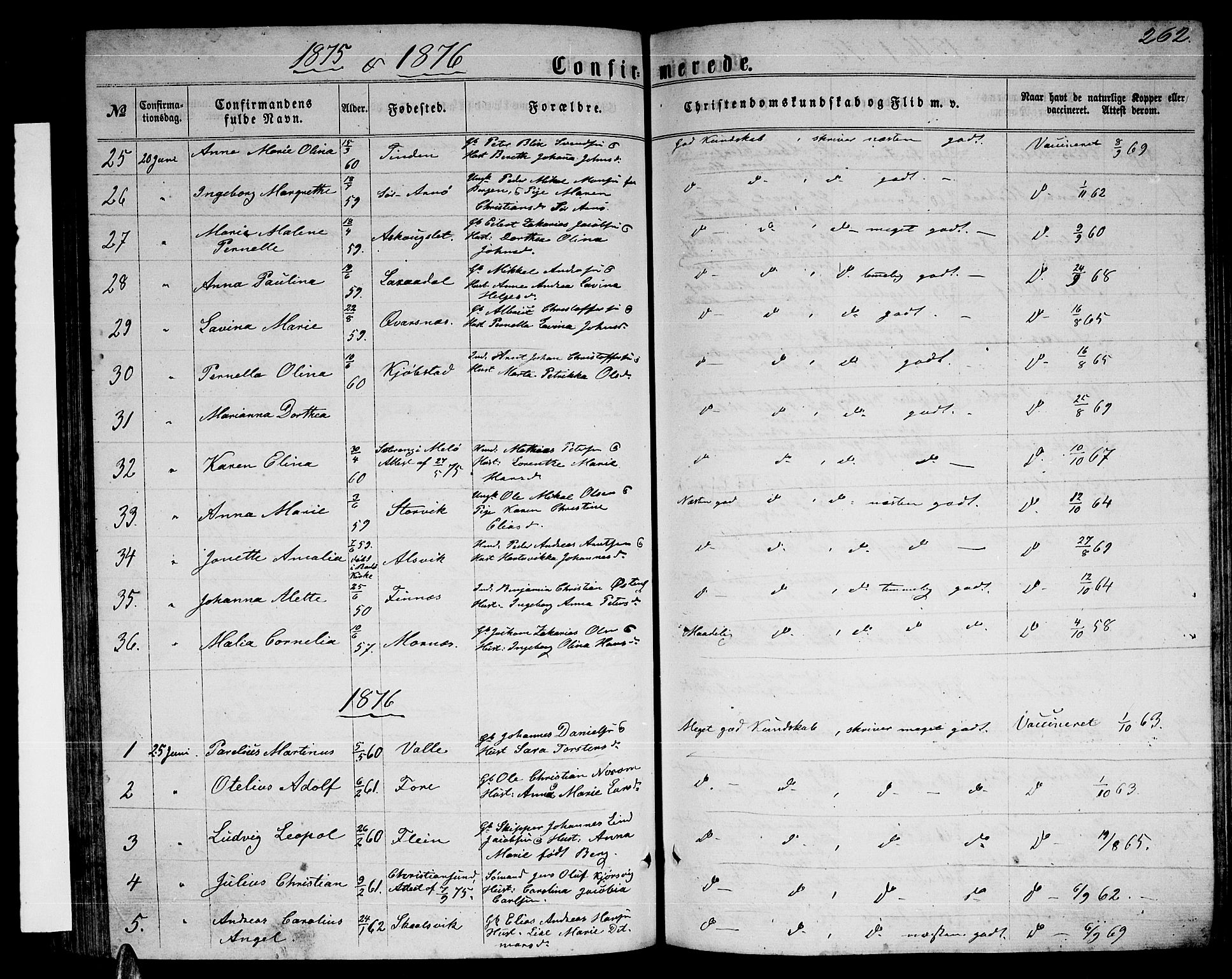 Ministerialprotokoller, klokkerbøker og fødselsregistre - Nordland, AV/SAT-A-1459/805/L0107: Parish register (copy) no. 805C03, 1862-1885, p. 262