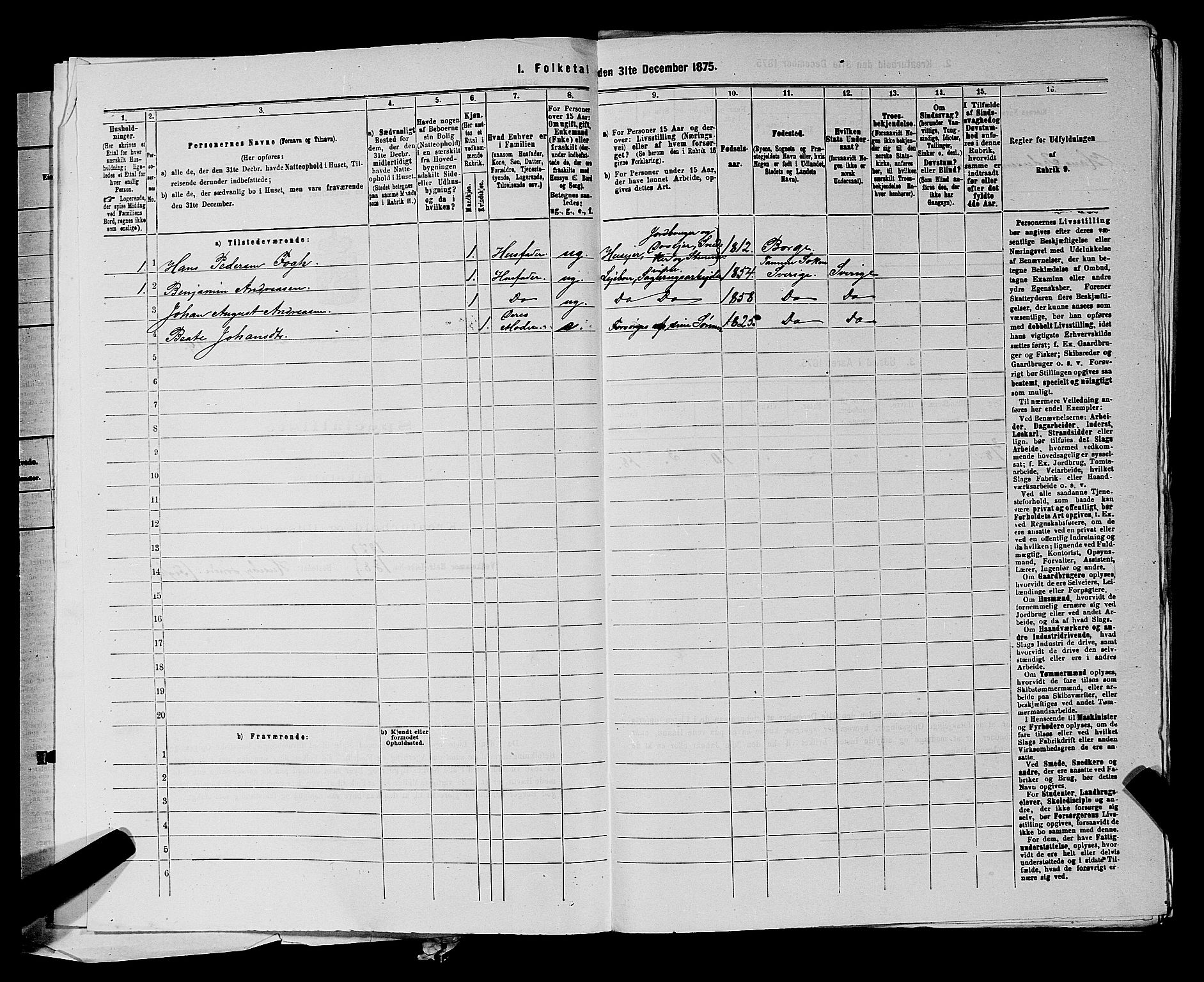 RA, 1875 census for 0113P Borge, 1875, p. 196