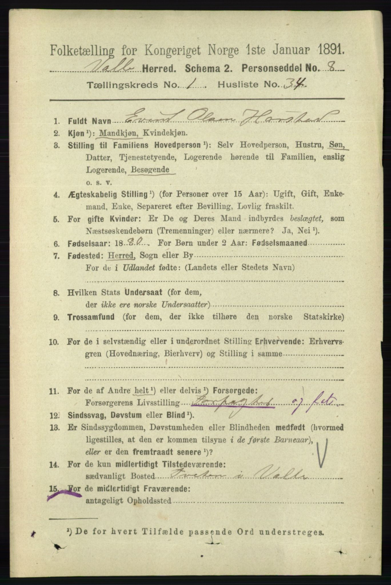 RA, 1891 census for 0940 Valle, 1891, p. 313