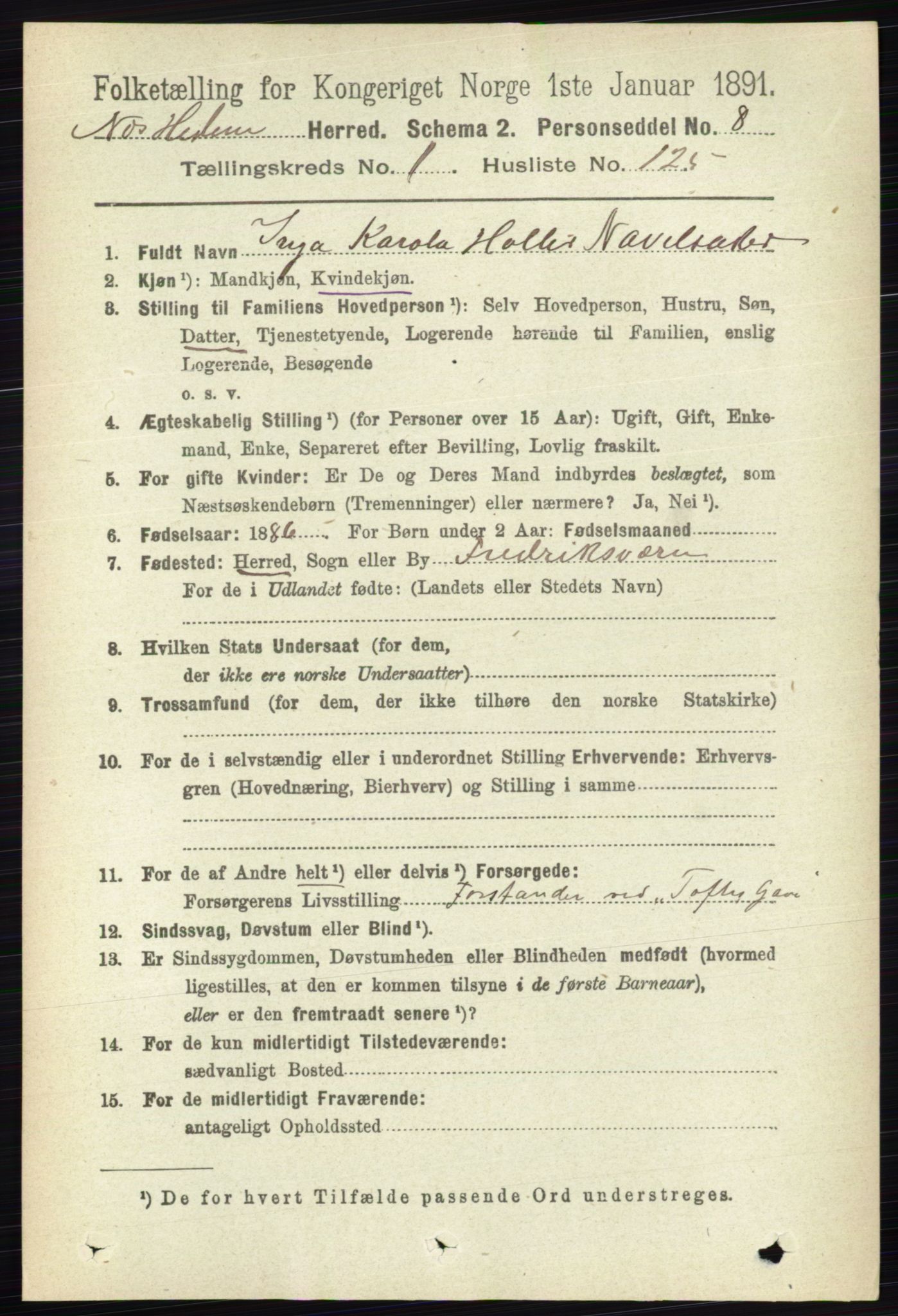 RA, 1891 census for 0411 Nes, 1891, p. 902