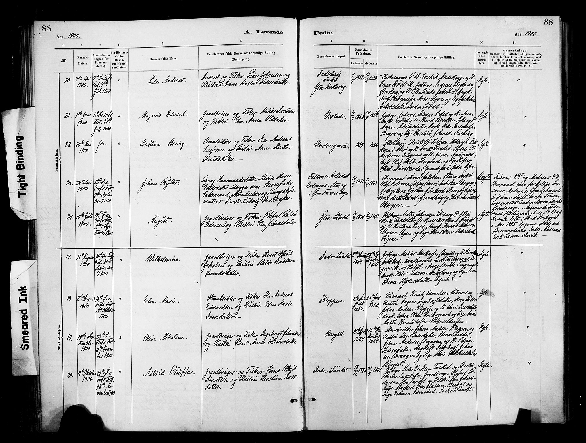 Ministerialprotokoller, klokkerbøker og fødselsregistre - Møre og Romsdal, AV/SAT-A-1454/566/L0769: Parish register (official) no. 566A08, 1881-1903, p. 88