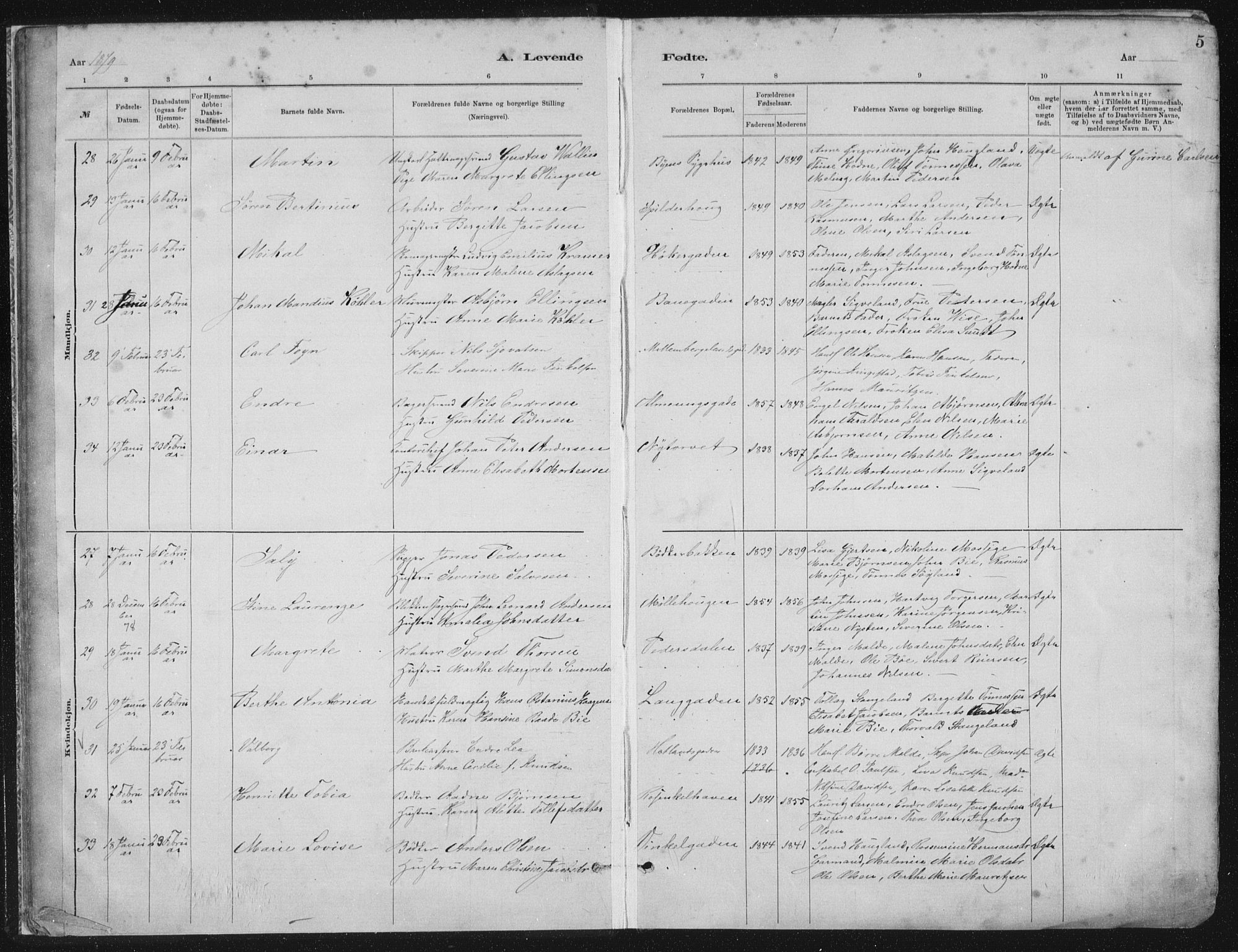 St. Petri sokneprestkontor, AV/SAST-A-101813/001/30/30BA/L0015: Parish register (official) no. A 15, 1879-1888, p. 5