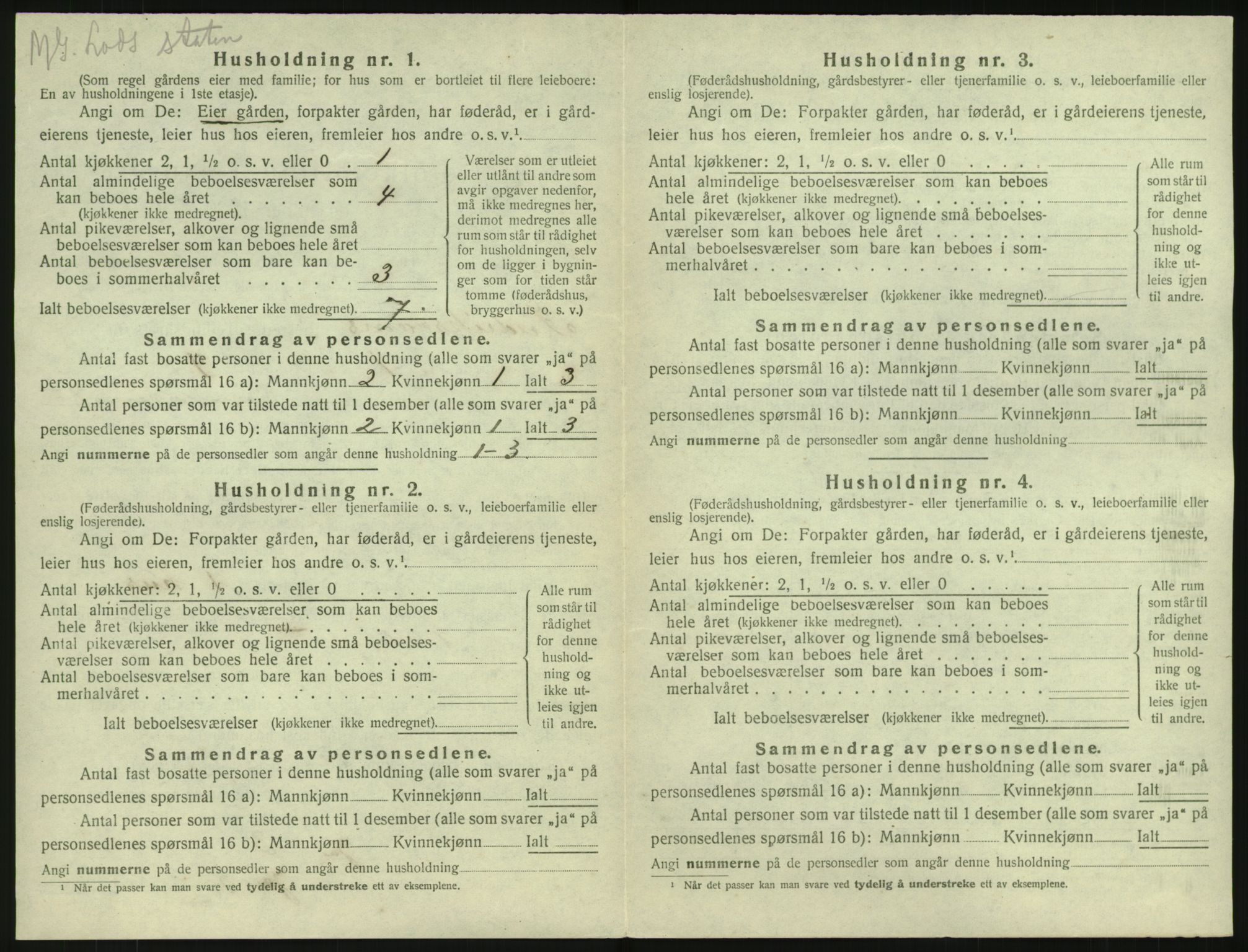 SAKO, 1920 census for Fredriksvern, 1920, p. 20