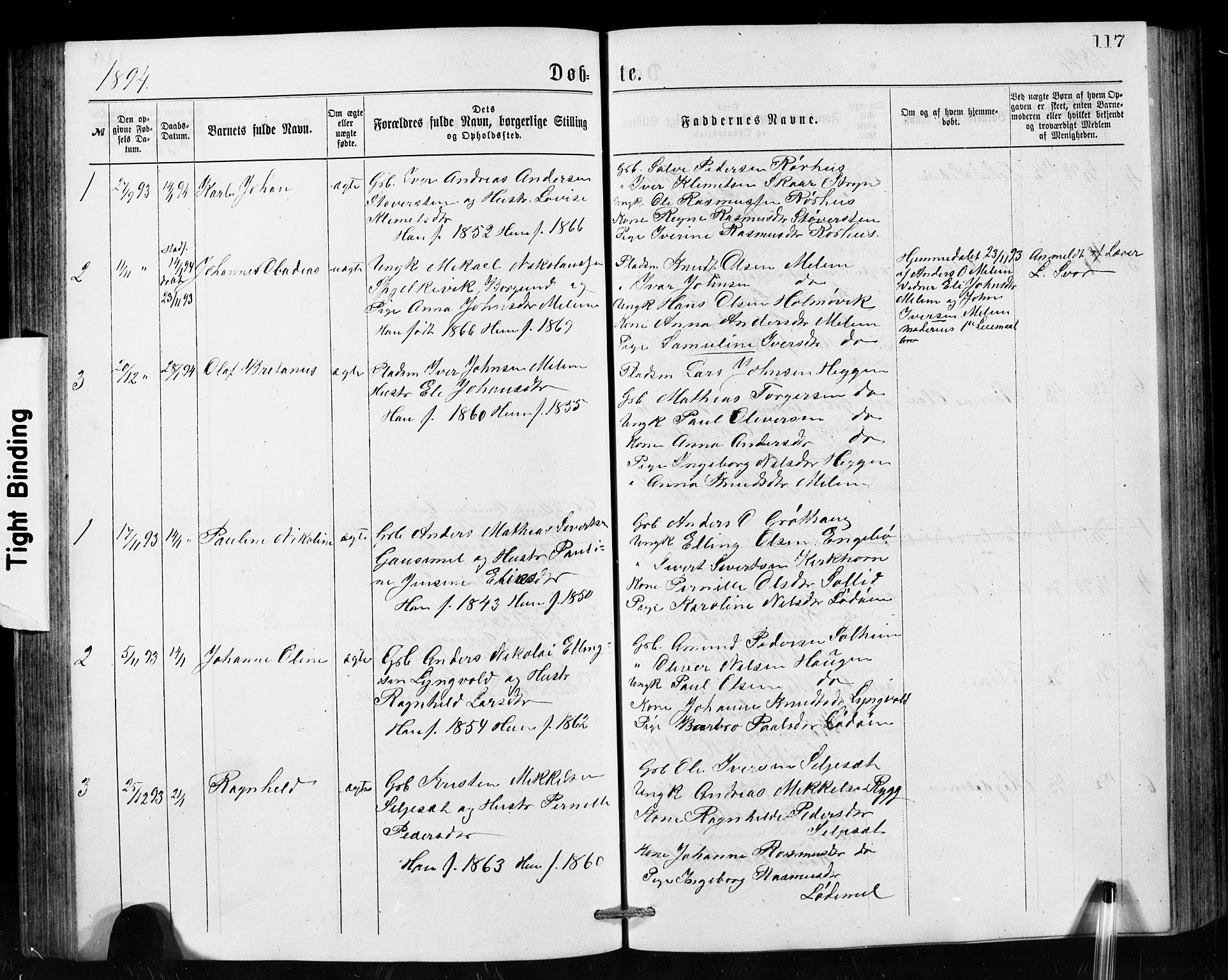 Hornindal sokneprestembete, SAB/A-82401/H/Hab: Parish register (copy) no. A 1, 1876-1894, p. 117
