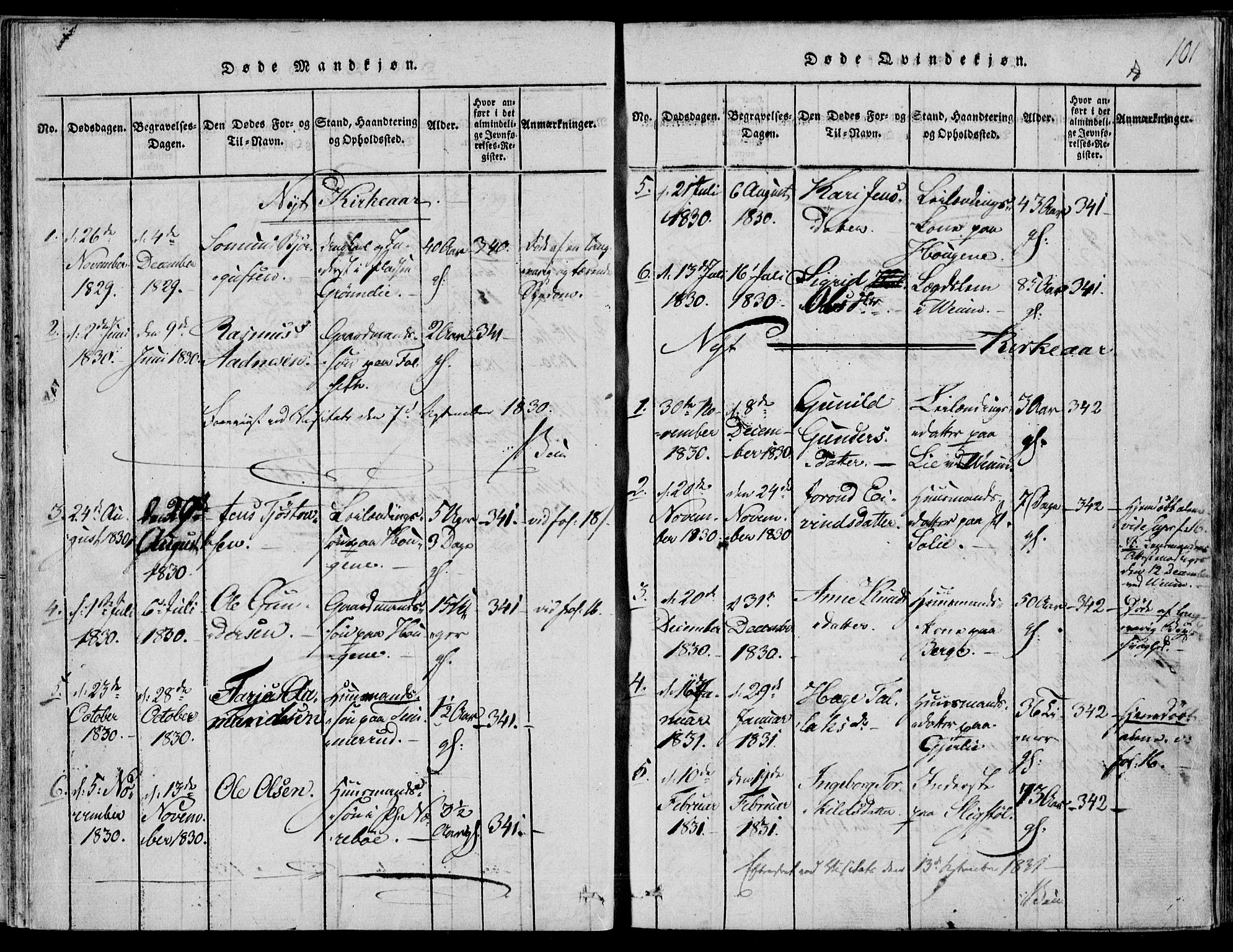 Fyresdal kirkebøker, SAKO/A-263/F/Fb/L0001: Parish register (official) no. II 1, 1815-1854, p. 101