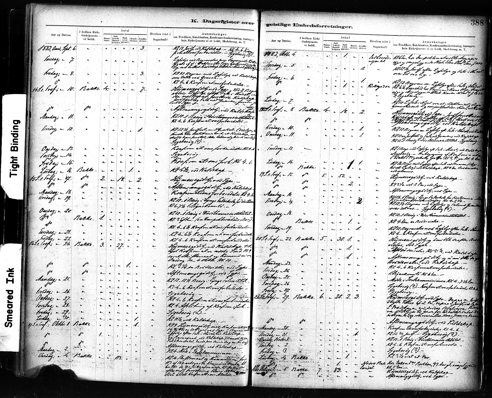 Ministerialprotokoller, klokkerbøker og fødselsregistre - Sør-Trøndelag, SAT/A-1456/604/L0189: Parish register (official) no. 604A10, 1878-1892, p. 388