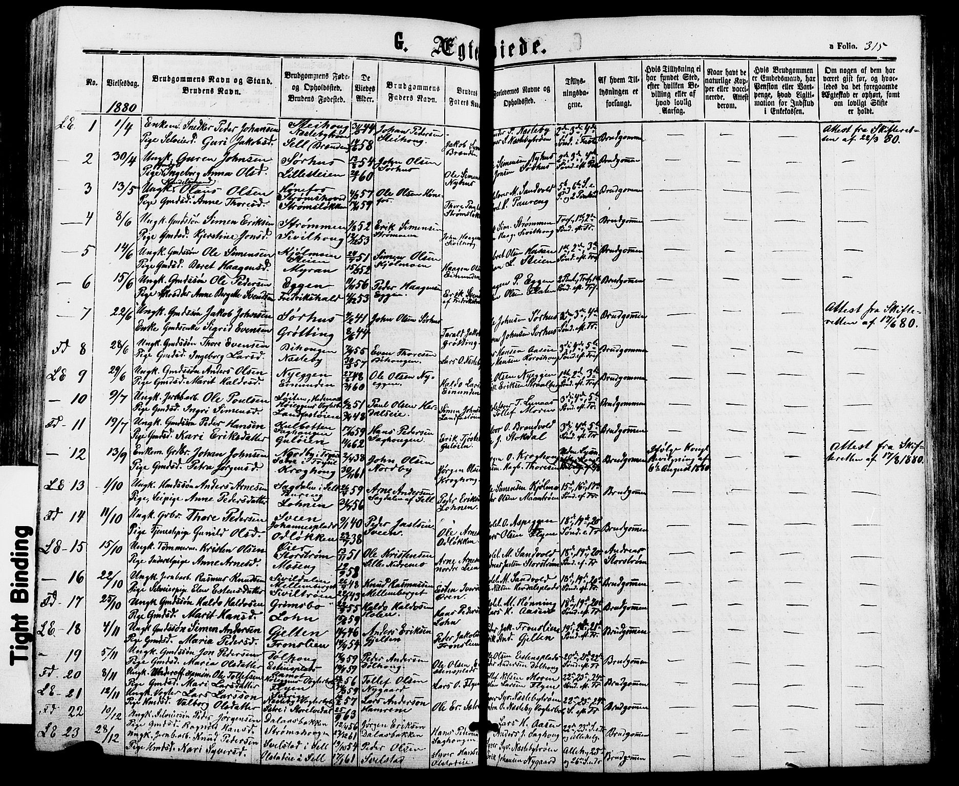 Alvdal prestekontor, AV/SAH-PREST-060/H/Ha/Haa/L0001: Parish register (official) no. 1, 1863-1882, p. 315