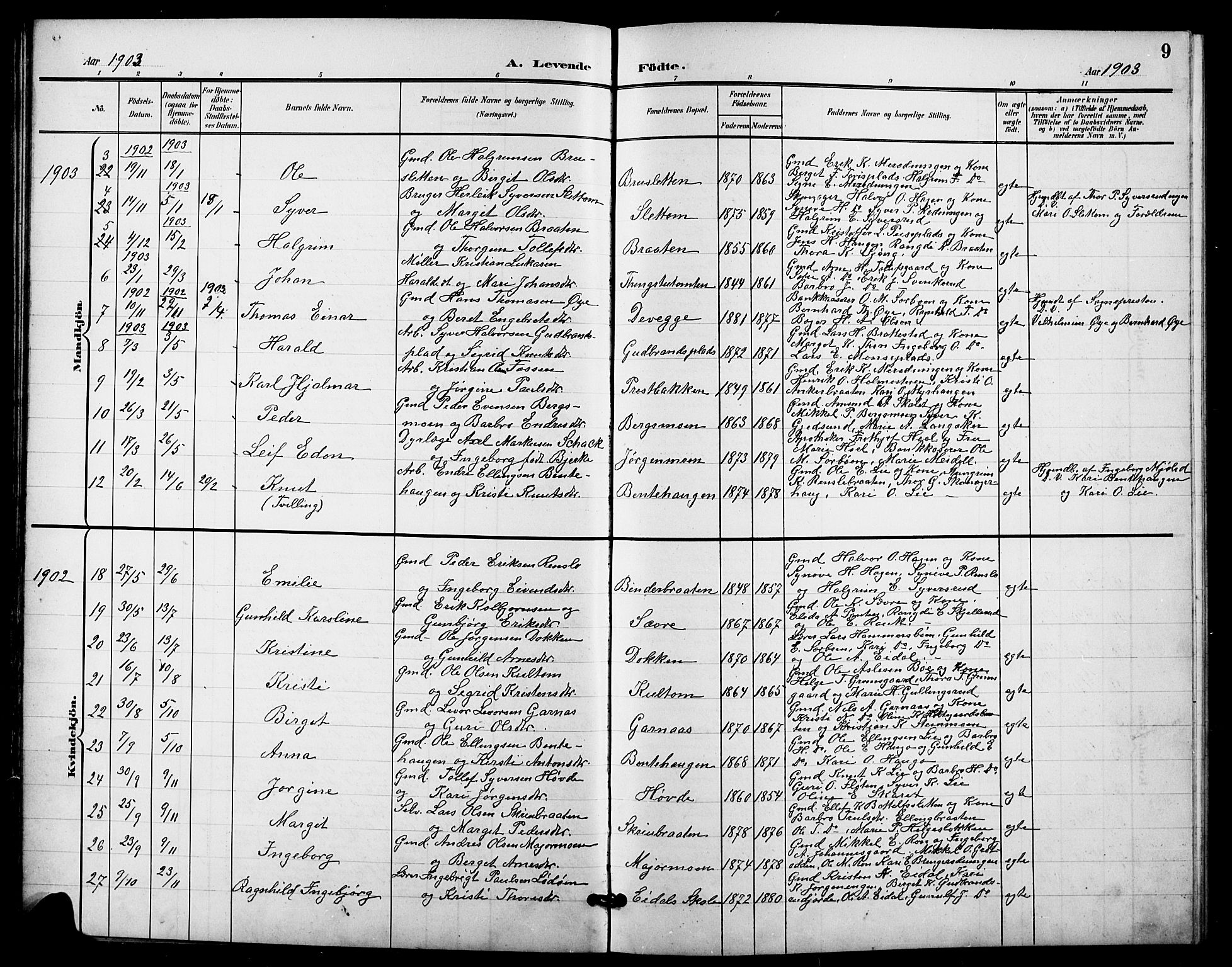 Nes kirkebøker, SAKO/A-236/G/Ga/L0004: Parish register (copy) no. I 4, 1900-1925, p. 9