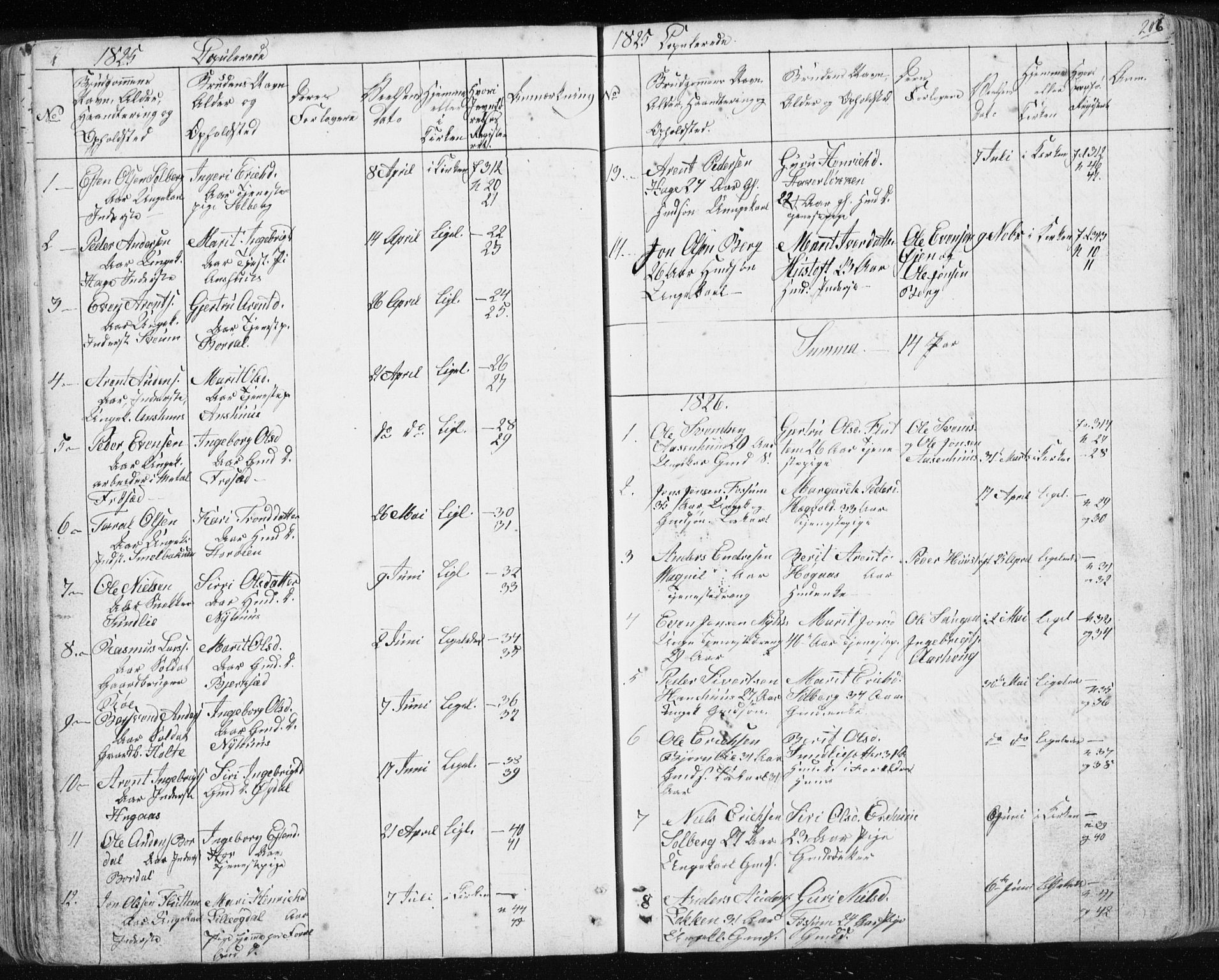 Ministerialprotokoller, klokkerbøker og fødselsregistre - Sør-Trøndelag, SAT/A-1456/689/L1043: Parish register (copy) no. 689C02, 1816-1892, p. 206