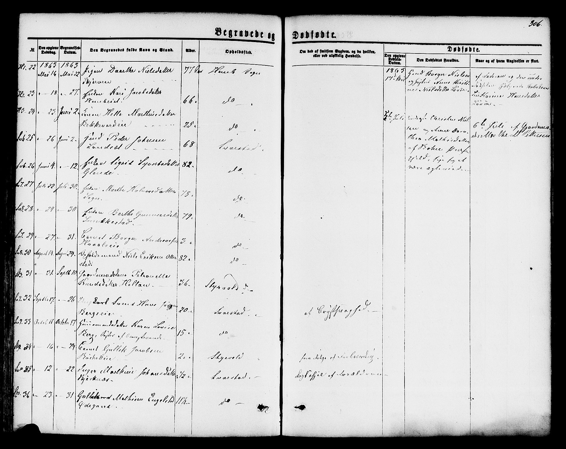 Lardal kirkebøker, SAKO/A-350/F/Fa/L0007: Parish register (official) no. I 7, 1861-1880, p. 306