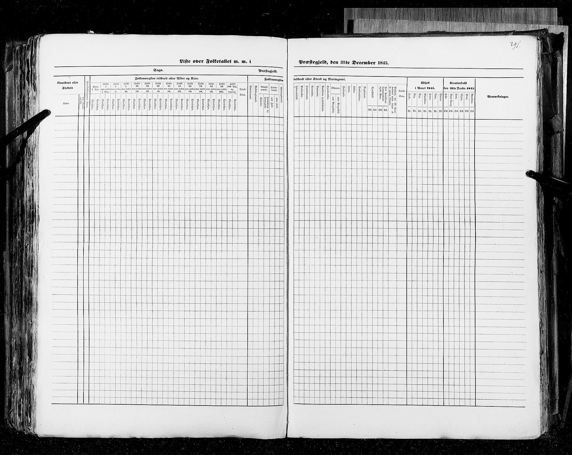 RA, Census 1845, vol. 4: Buskerud amt og Jarlsberg og Larvik amt, 1845, p. 391