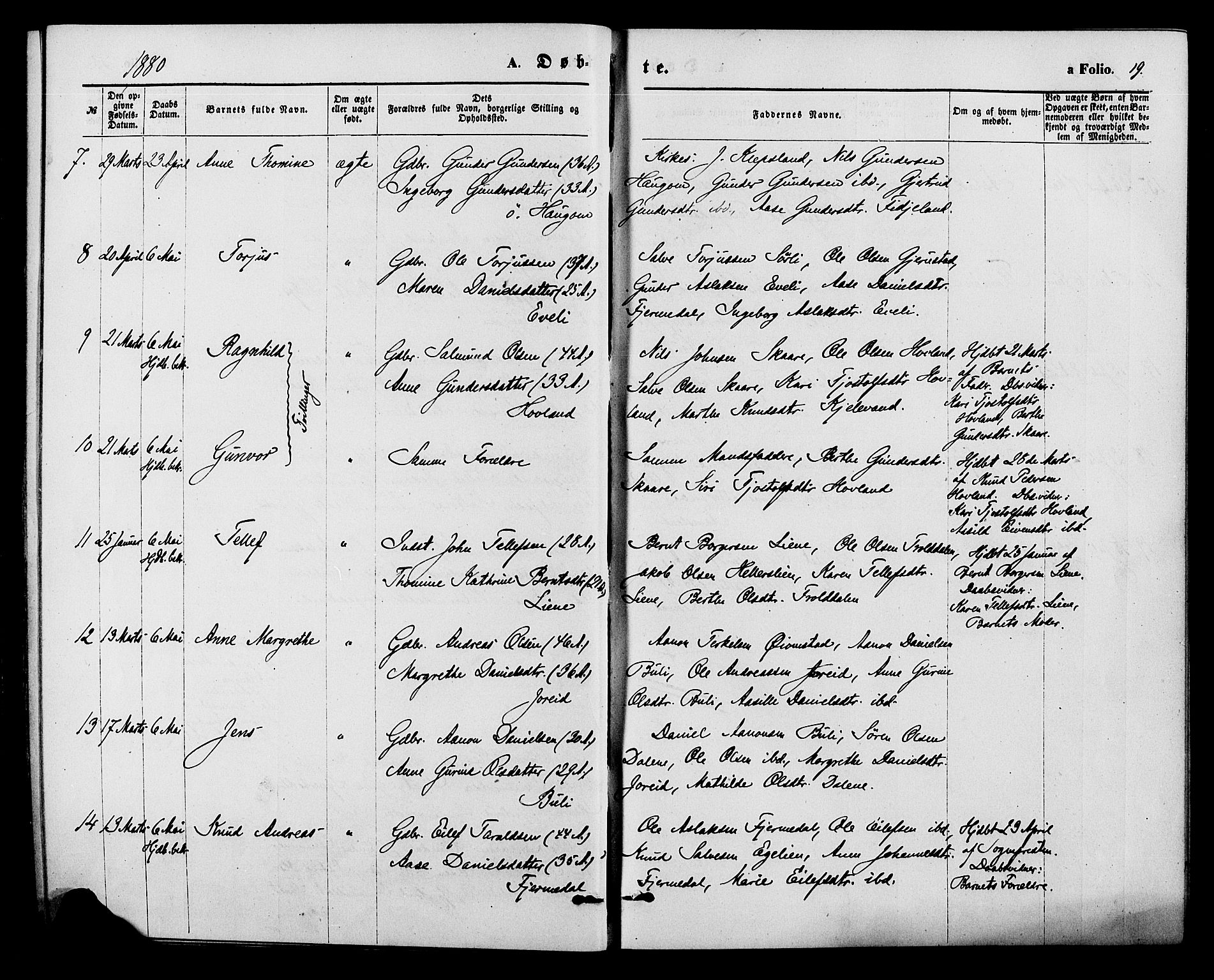 Herefoss sokneprestkontor, SAK/1111-0019/F/Fa/Fab/L0003: Parish register (official) no. A 3, 1875-1886, p. 19