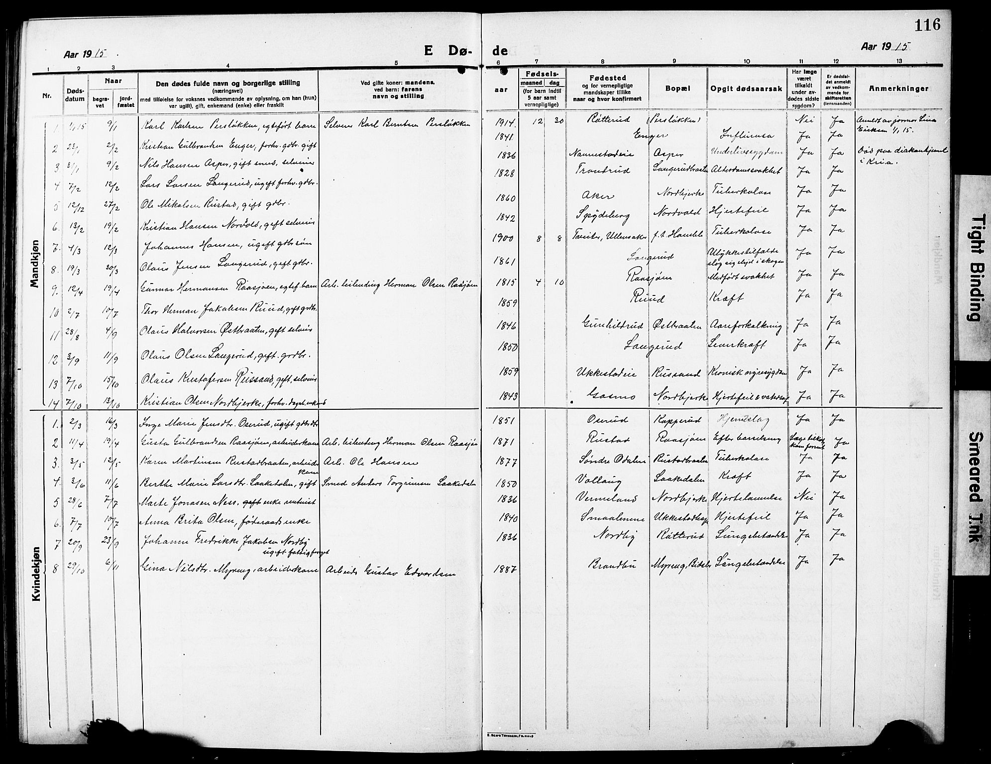 Nannestad prestekontor Kirkebøker, AV/SAO-A-10414a/G/Ga/L0003: Parish register (copy) no. I 3, 1914-1929, p. 116