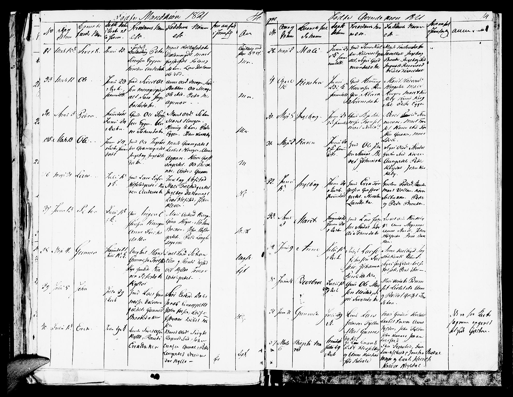 Ministerialprotokoller, klokkerbøker og fødselsregistre - Nord-Trøndelag, AV/SAT-A-1458/709/L0065: Parish register (official) no. 709A09 /4, 1820-1821, p. 14