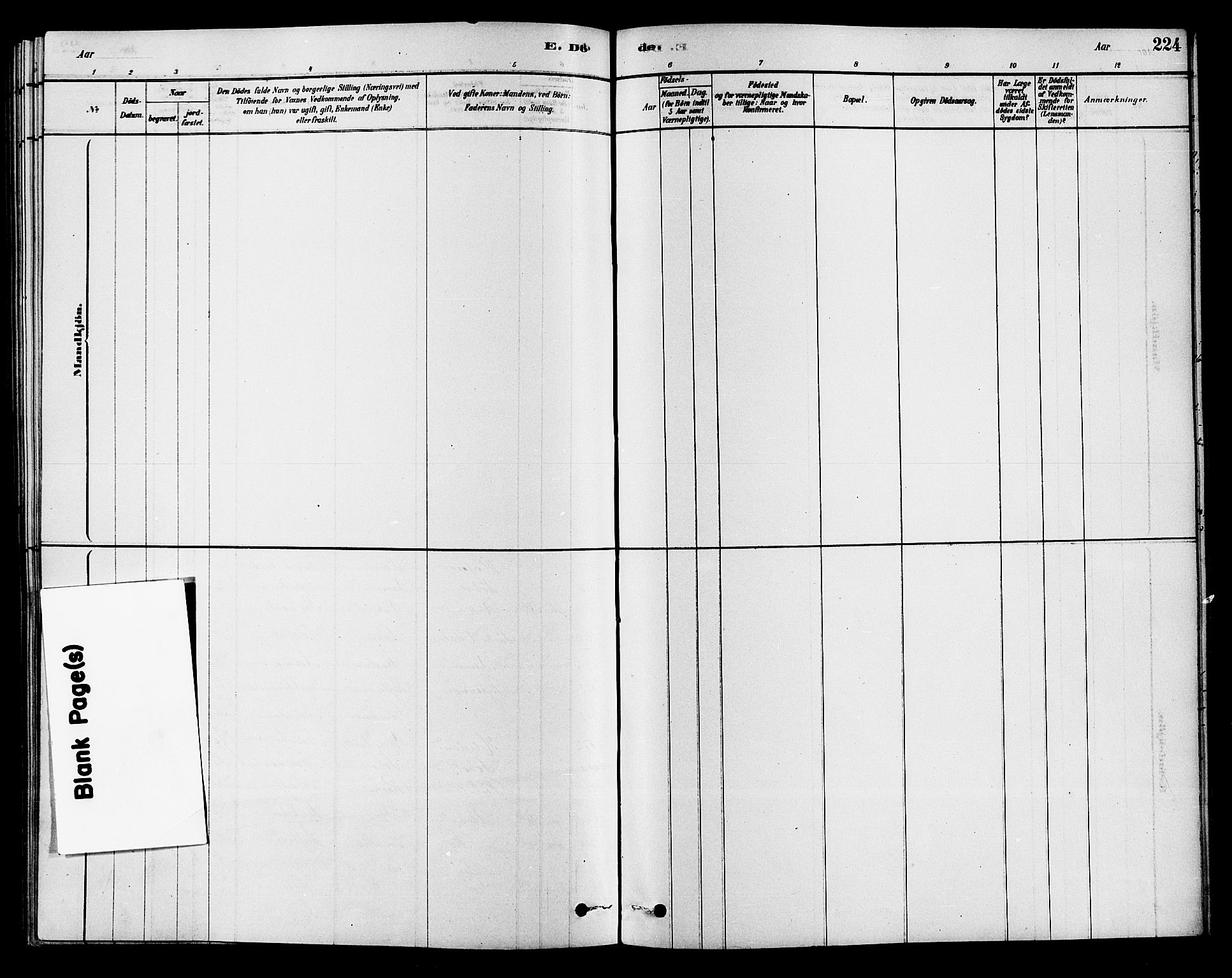 Hole kirkebøker, AV/SAKO-A-228/F/Fa/L0008: Parish register (official) no. I 8, 1878-1891, p. 224