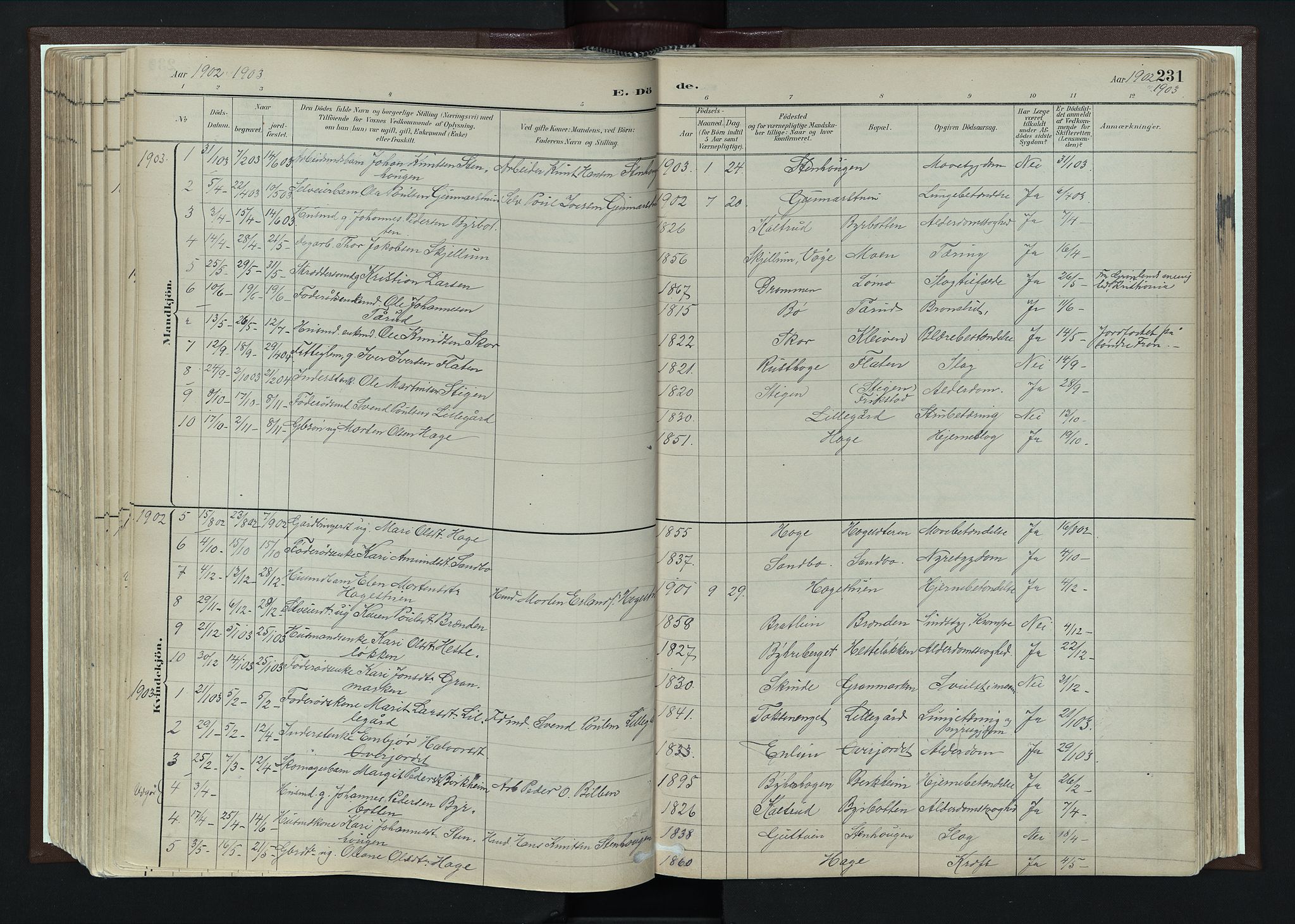 Nord-Fron prestekontor, SAH/PREST-080/H/Ha/Haa/L0004: Parish register (official) no. 4, 1884-1914, p. 231