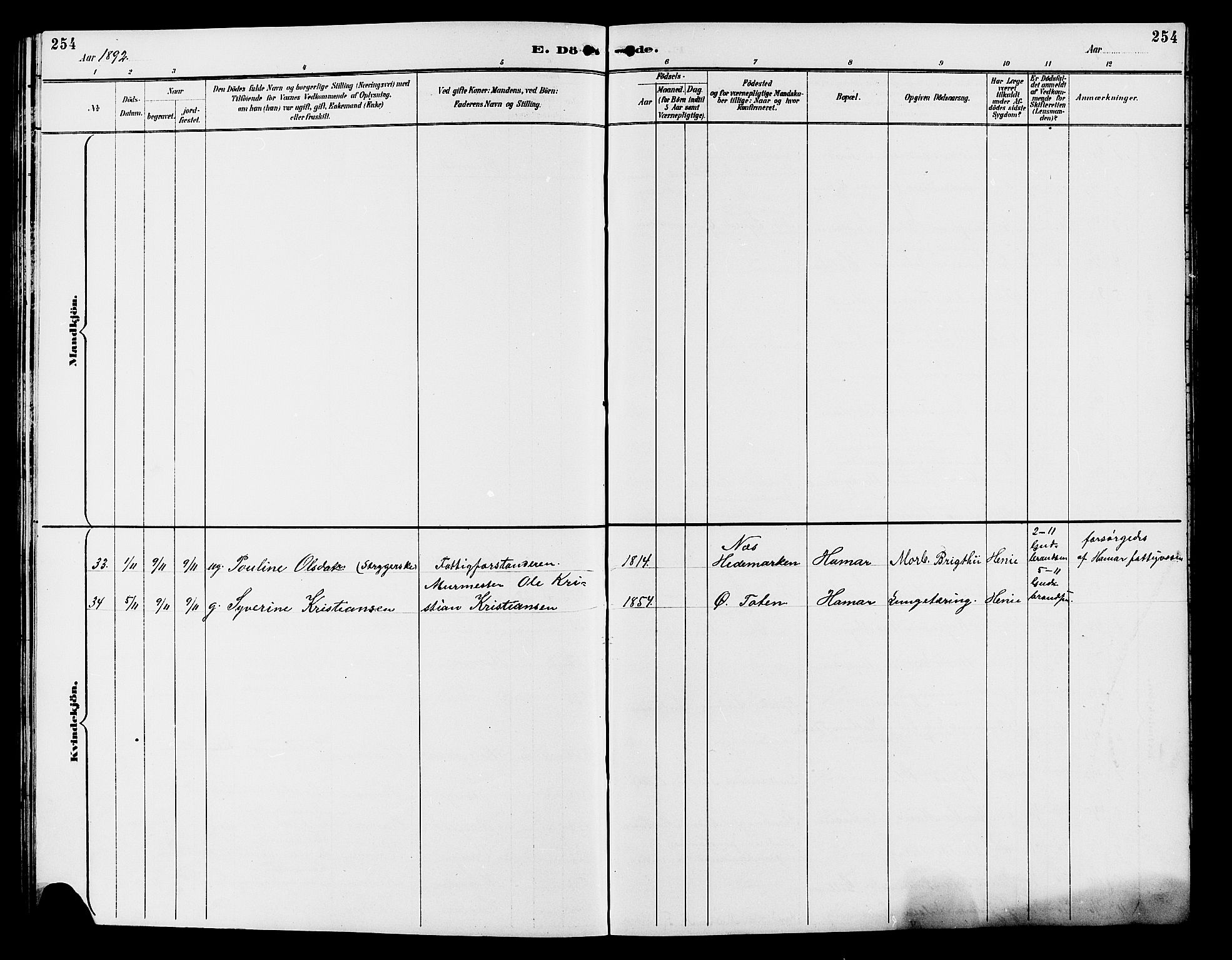 Vang prestekontor, Hedmark, AV/SAH-PREST-008/H/Ha/Hab/L0013: Parish register (copy) no. 13, 1890-1899, p. 254