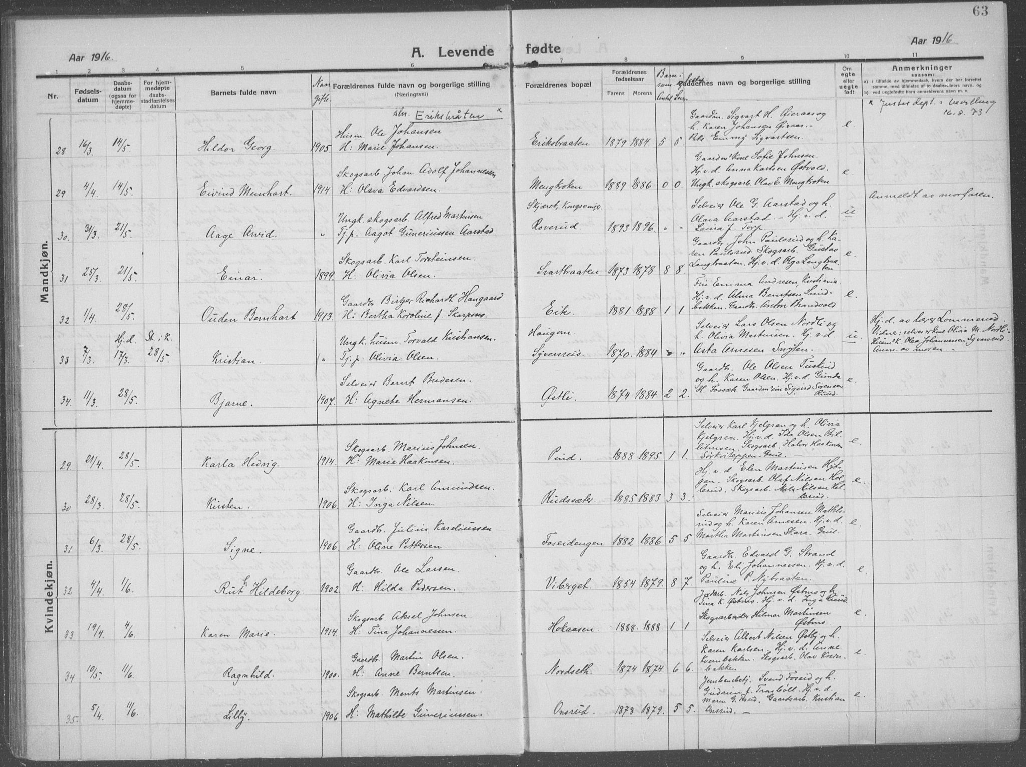 Brandval prestekontor, AV/SAH-PREST-034/H/Ha/Haa/L0004: Parish register (official) no. 4, 1910-1924, p. 63