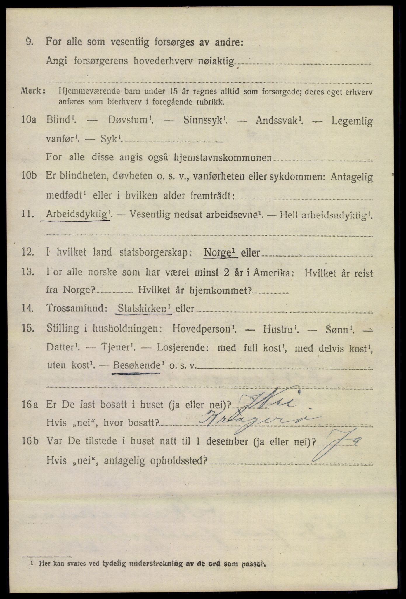 SAKO, 1920 census for Skåtøy, 1920, p. 8617