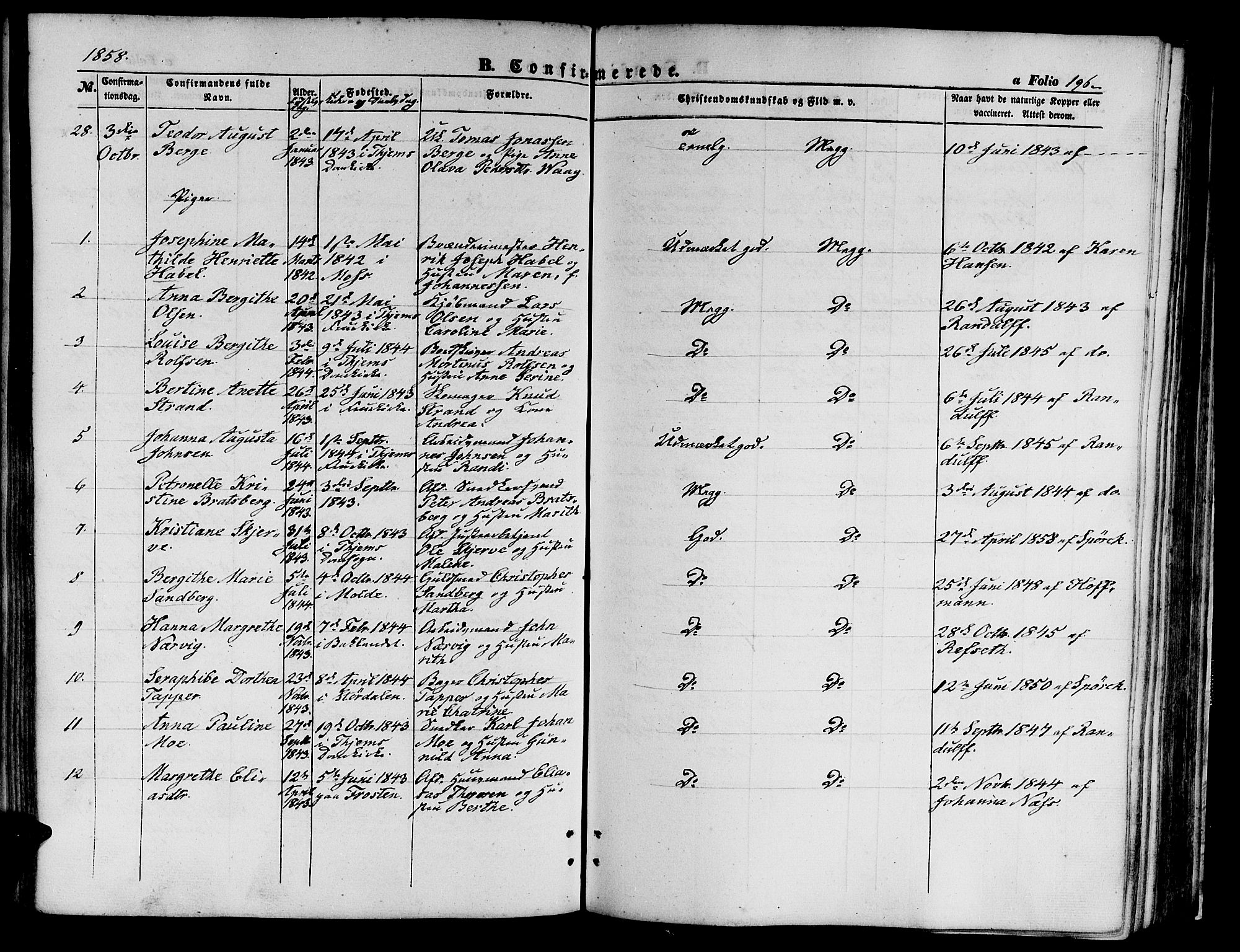 Ministerialprotokoller, klokkerbøker og fødselsregistre - Sør-Trøndelag, AV/SAT-A-1456/602/L0138: Parish register (copy) no. 602C06, 1853-1858, p. 196