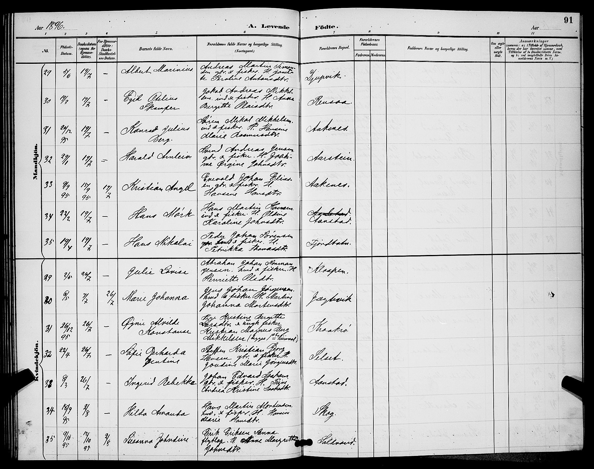 Ibestad sokneprestembete, SATØ/S-0077/H/Ha/Hab/L0008klokker: Parish register (copy) no. 8, 1890-1903, p. 91