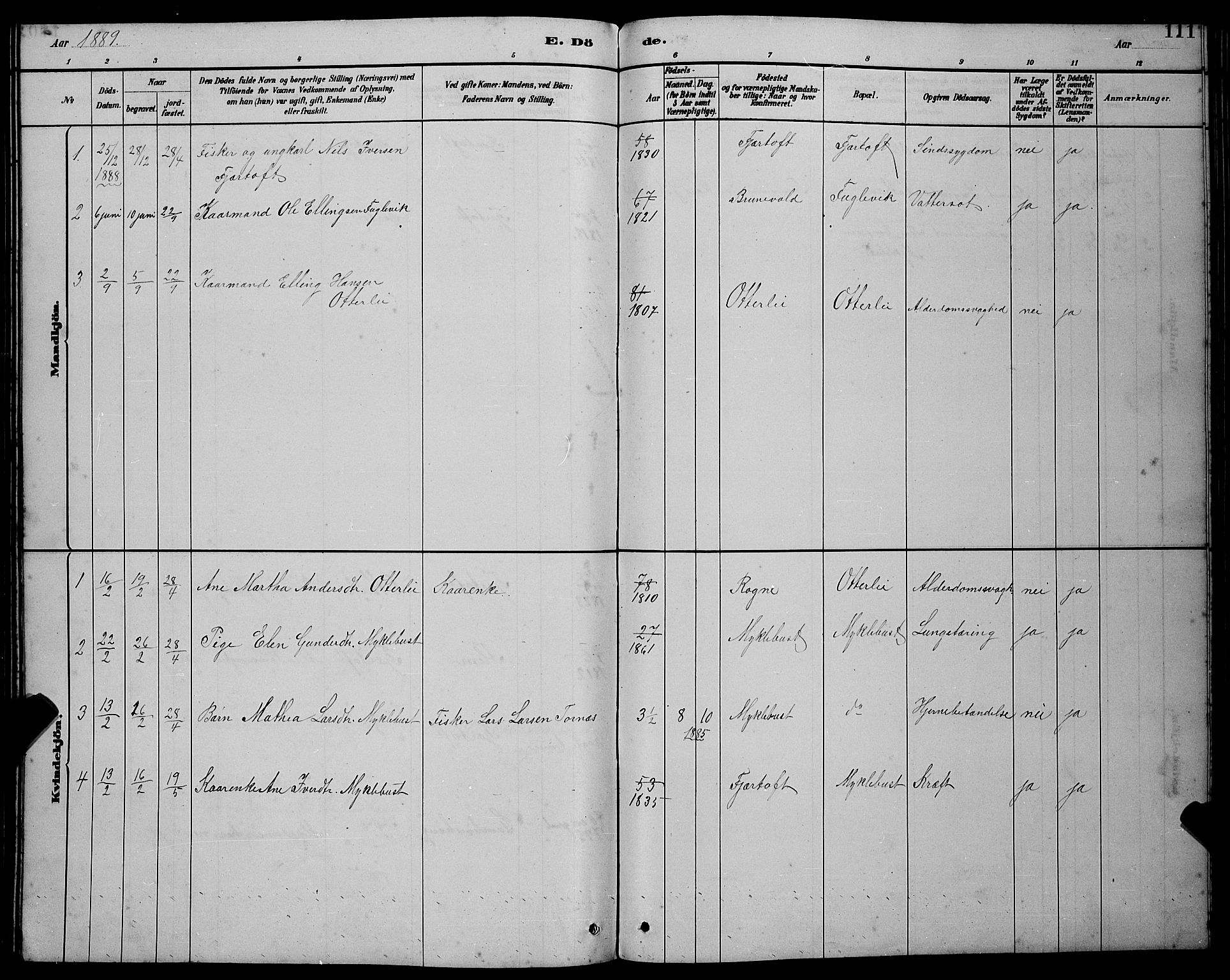 Ministerialprotokoller, klokkerbøker og fødselsregistre - Møre og Romsdal, SAT/A-1454/538/L0523: Parish register (copy) no. 538C01, 1881-1900, p. 111