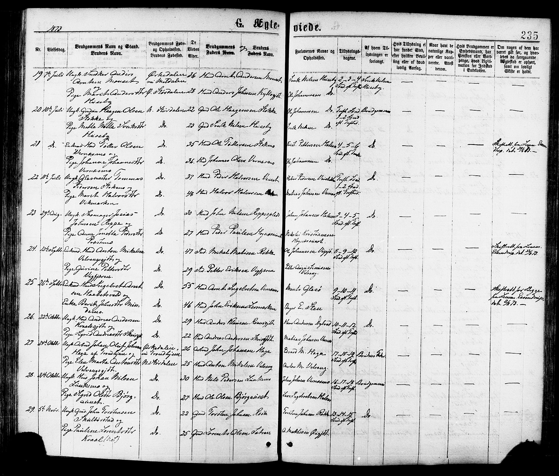 Ministerialprotokoller, klokkerbøker og fødselsregistre - Nord-Trøndelag, SAT/A-1458/709/L0076: Parish register (official) no. 709A16, 1871-1879, p. 235