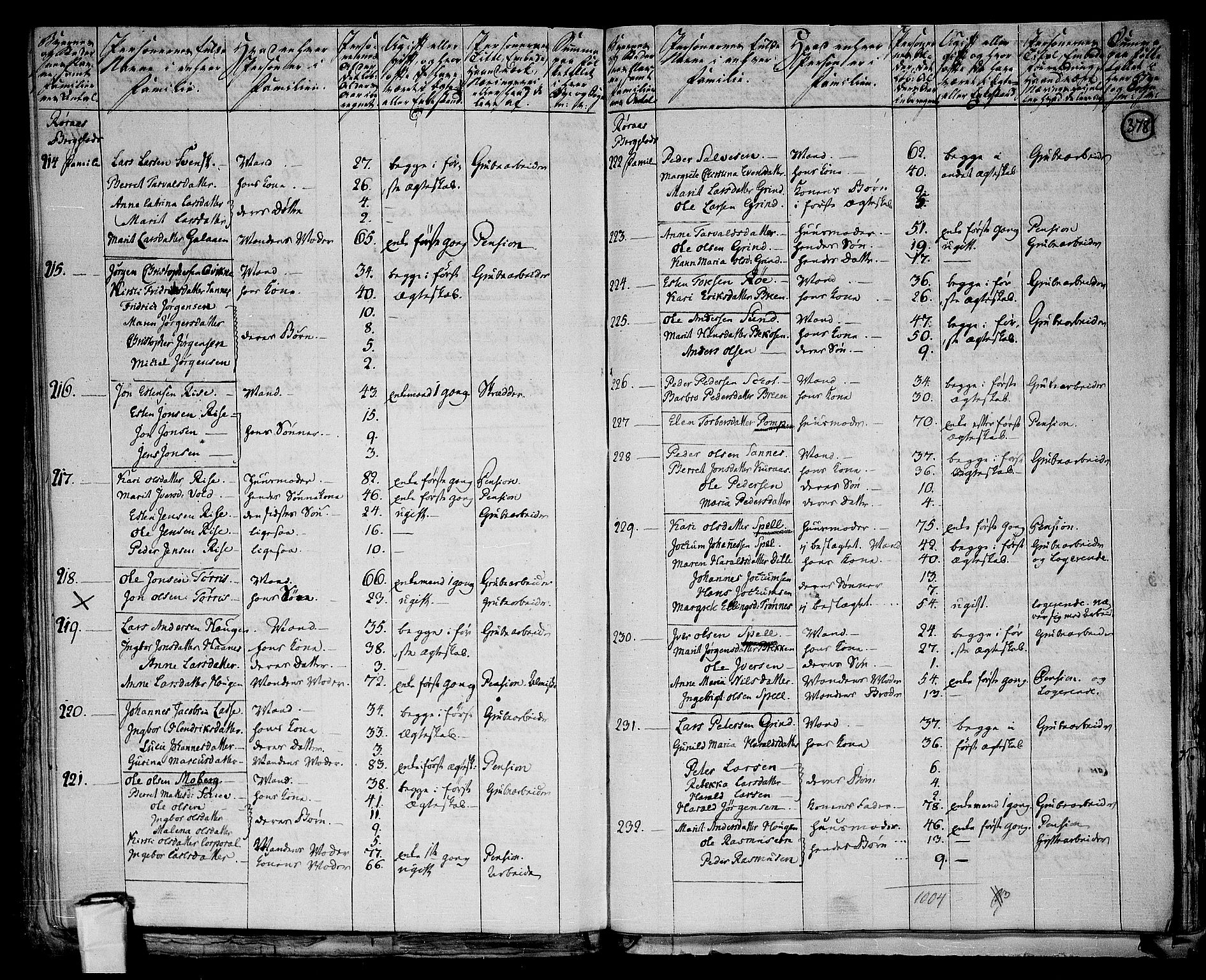 RA, 1801 census for 1640P Røros, 1801, p. 377b-378a