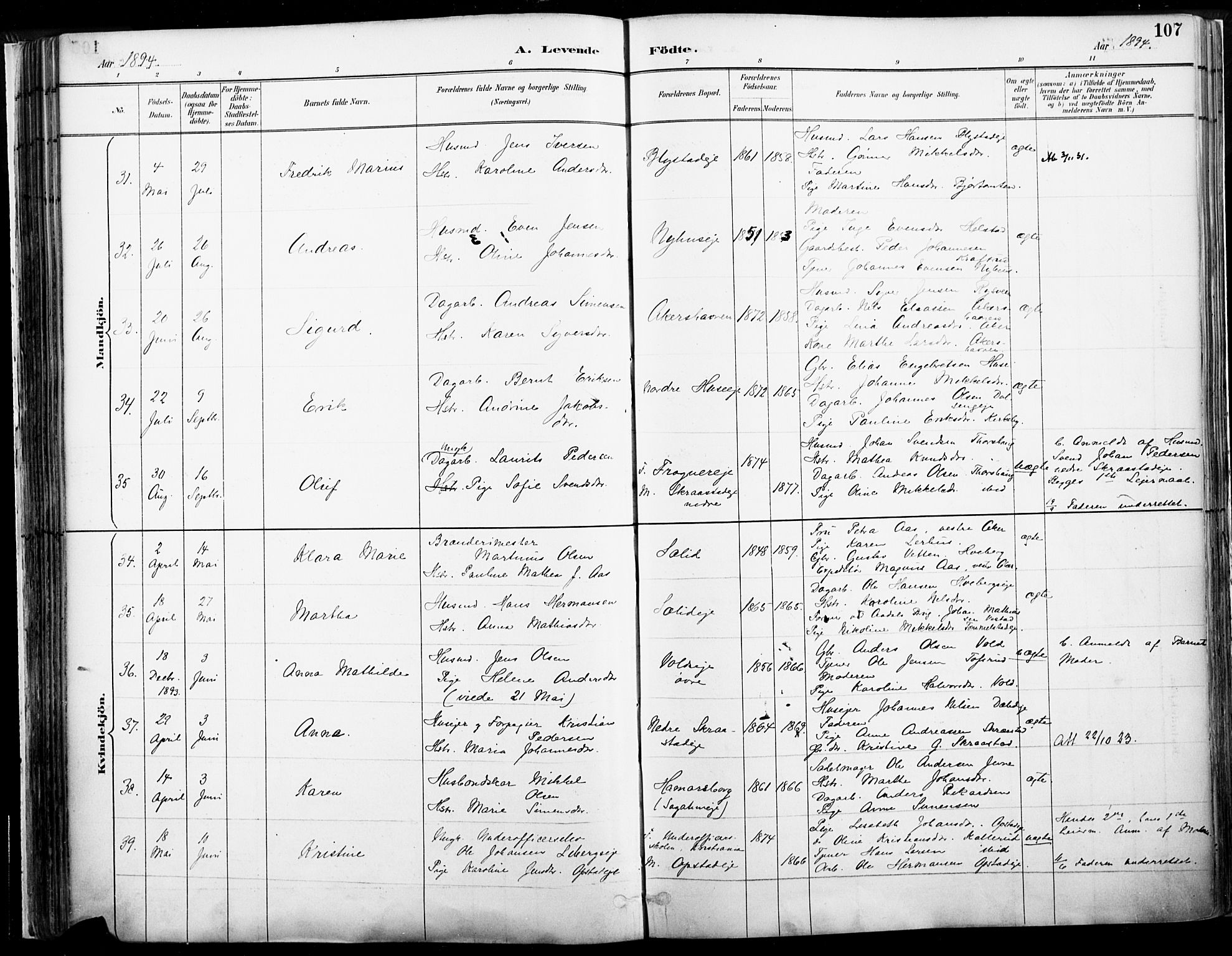 Vang prestekontor, Hedmark, AV/SAH-PREST-008/H/Ha/Haa/L0019A: Parish register (official) no. 19, 1886-1900, p. 107