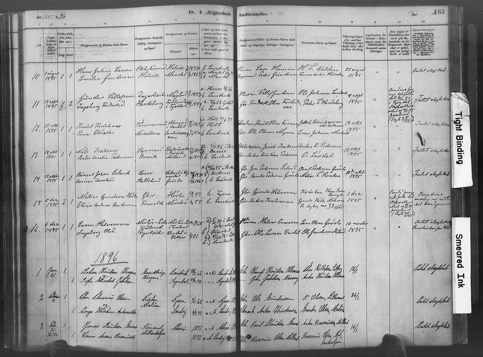 Hommedal sokneprestkontor, AV/SAK-1111-0023/F/Fa/Fab/L0006: Parish register (official) no. A 6, 1878-1897, p. 163