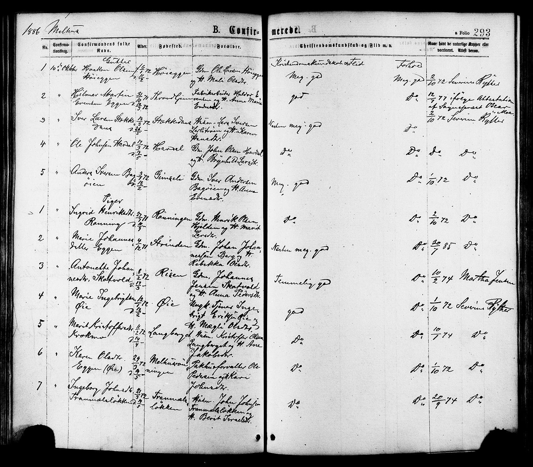 Ministerialprotokoller, klokkerbøker og fødselsregistre - Sør-Trøndelag, AV/SAT-A-1456/691/L1079: Parish register (official) no. 691A11, 1873-1886, p. 293