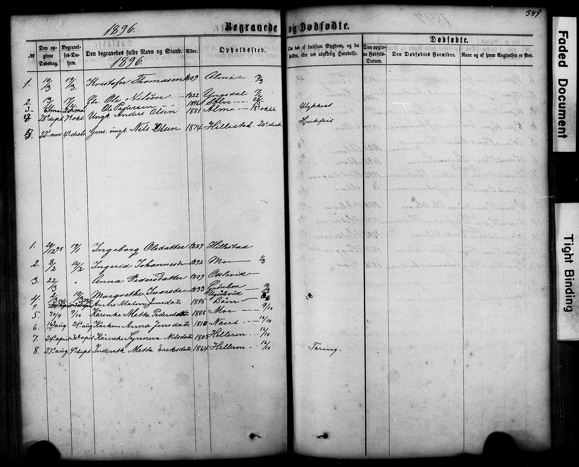 Hafslo sokneprestembete, AV/SAB-A-80301/H/Hab/Haba/L0001: Parish register (copy) no. A 1, 1866-1908, p. 349