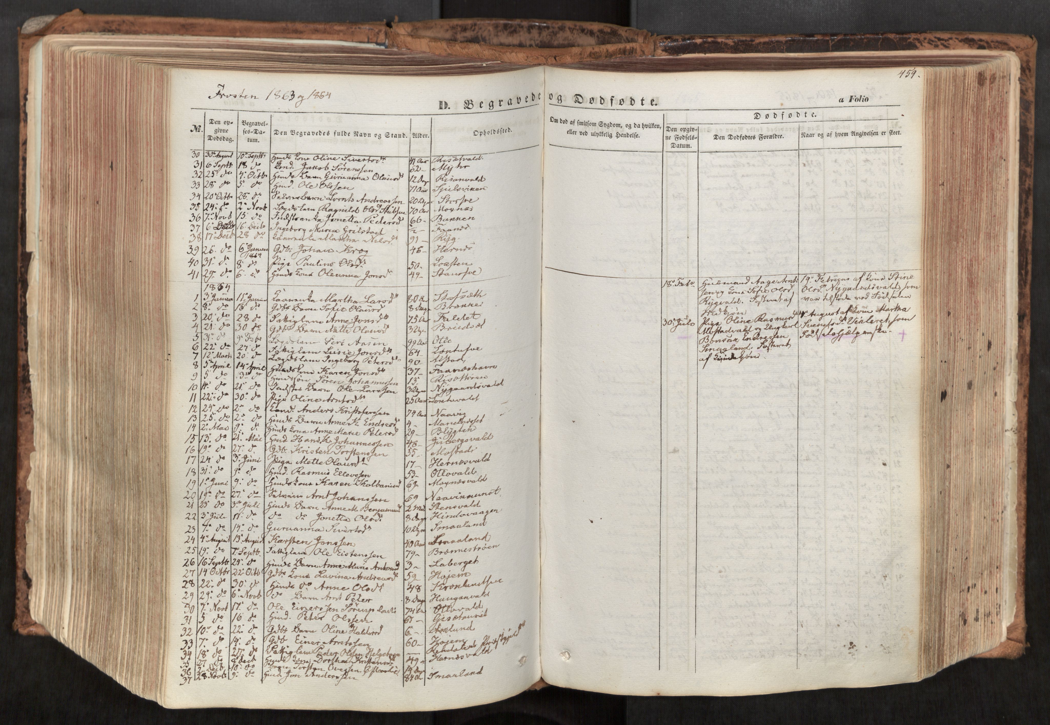 Ministerialprotokoller, klokkerbøker og fødselsregistre - Nord-Trøndelag, SAT/A-1458/713/L0116: Parish register (official) no. 713A07, 1850-1877, p. 459