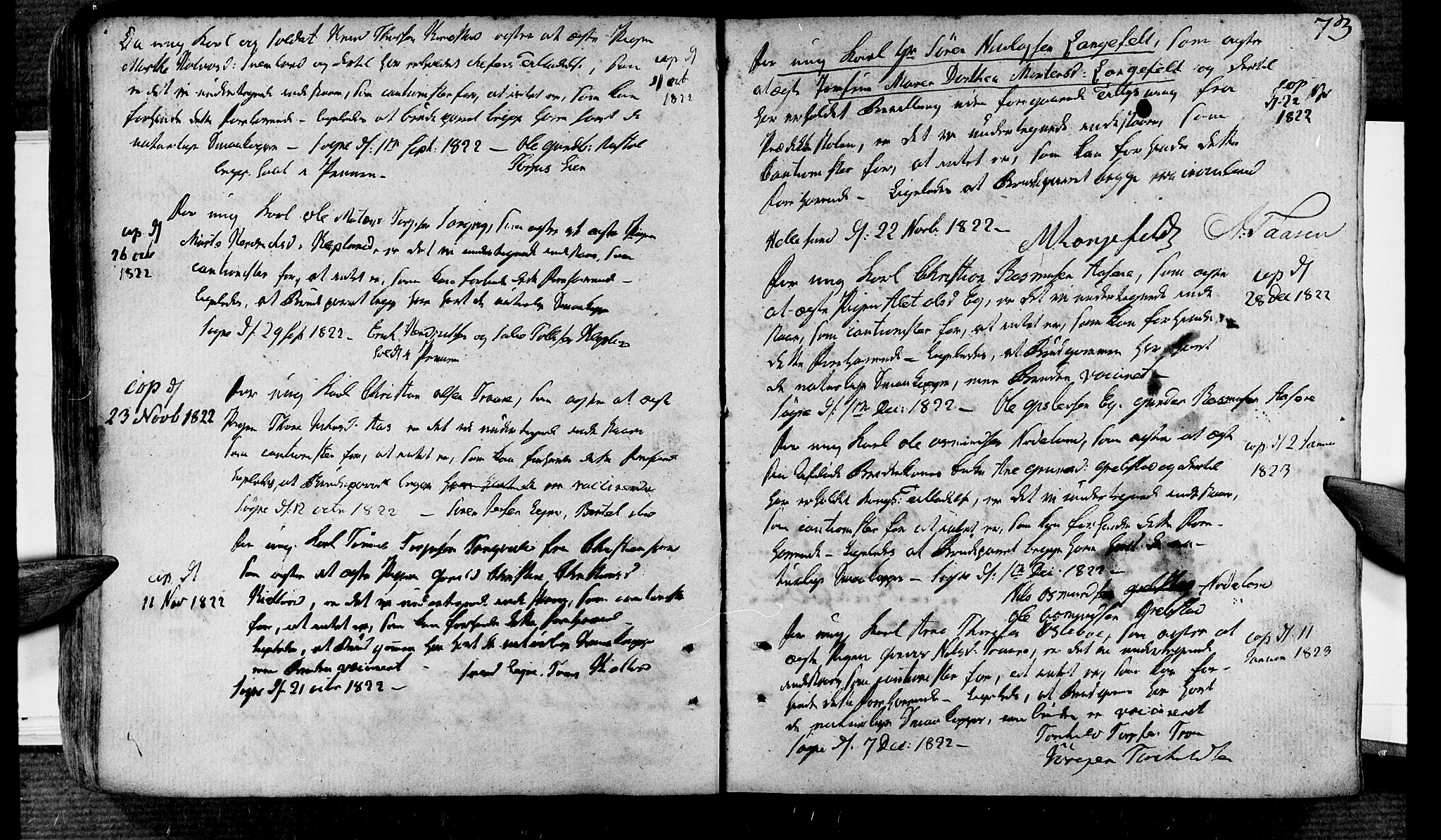 Søgne sokneprestkontor, SAK/1111-0037/F/Fa/Fab/L0007: Parish register (official) no. A 7, 1791-1851, p. 73