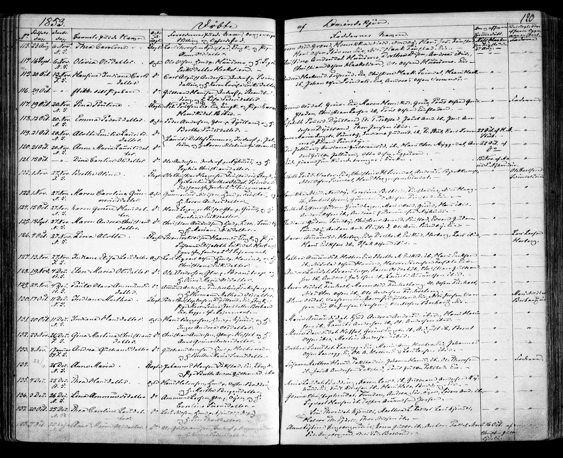 Nes prestekontor Kirkebøker, AV/SAO-A-10410/F/Fa/L0007: Parish register (official) no. I 7, 1846-1858, p. 120