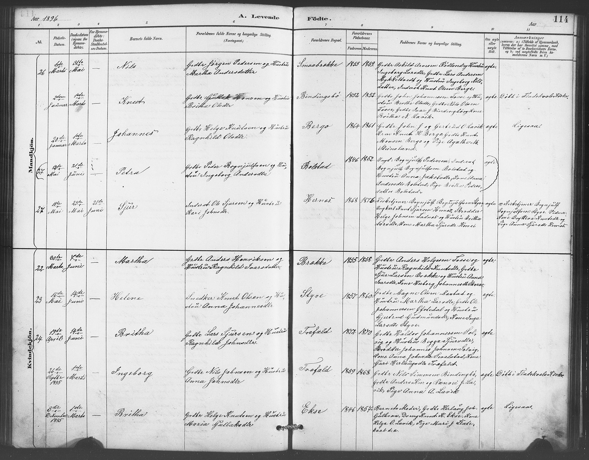 Evanger sokneprestembete, AV/SAB-A-99924: Parish register (copy) no. A 4, 1887-1897, p. 114