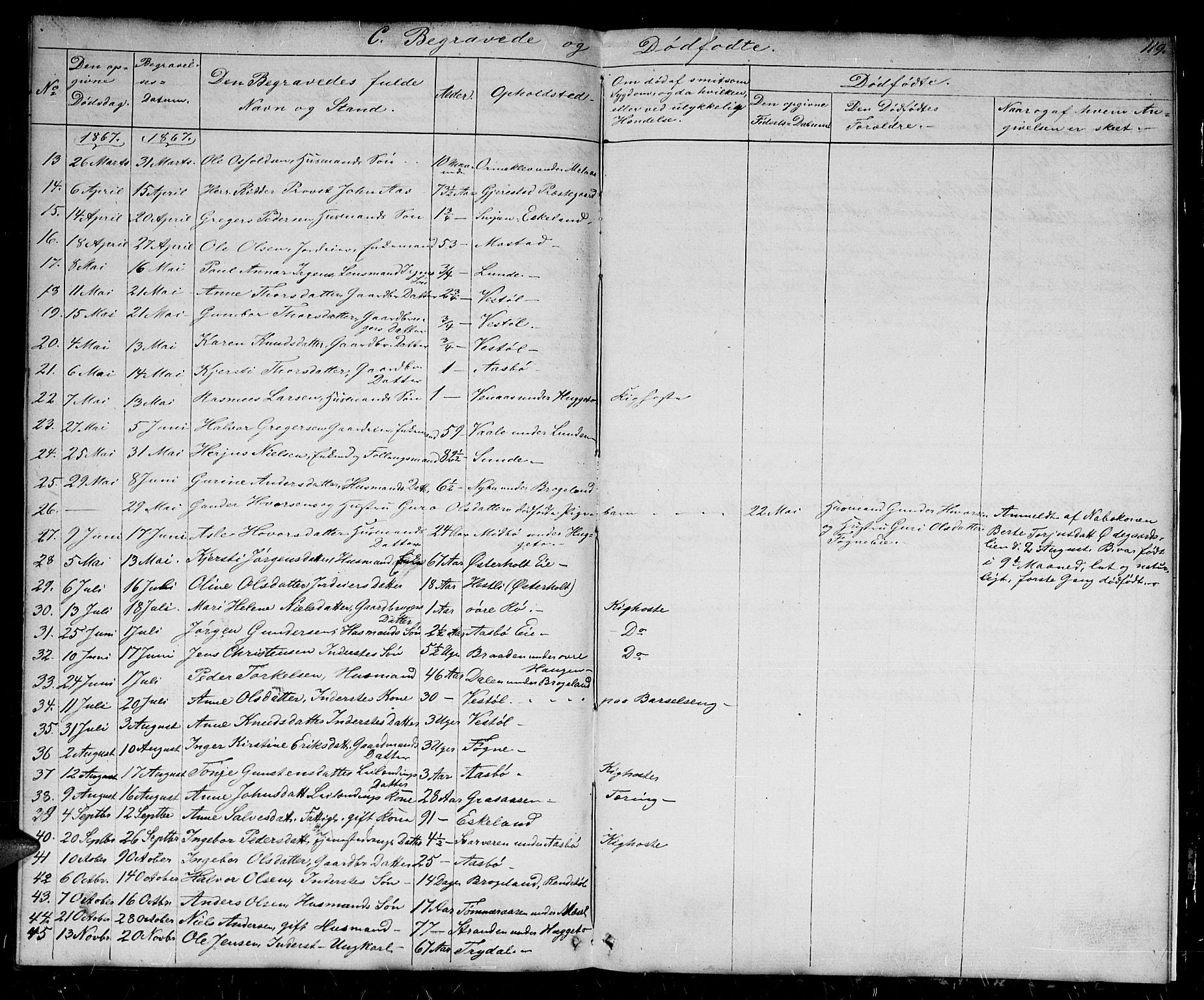 Gjerstad sokneprestkontor, AV/SAK-1111-0014/F/Fb/Fba/L0005: Parish register (copy) no. B 5, 1853-1867, p. 119