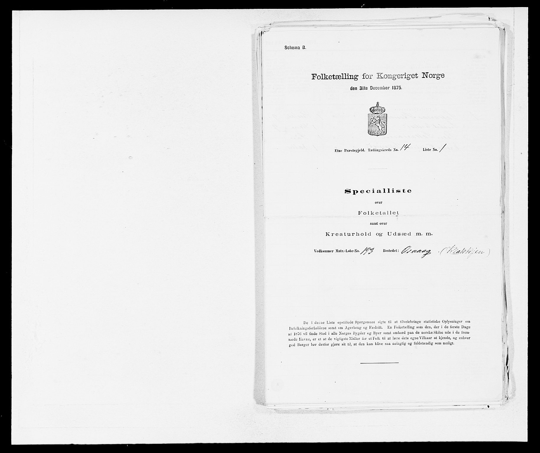 SAB, 1875 census for 1211P Etne, 1875, p. 911
