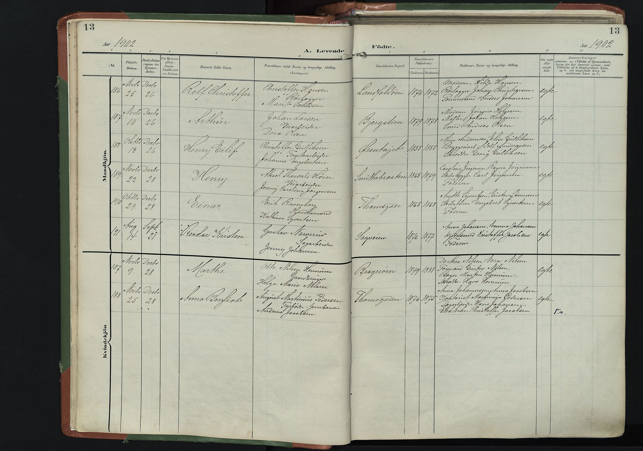 Bragernes kirkebøker, AV/SAKO-A-6/F/Fb/L0009: Parish register (official) no. II 9, 1902-1911, p. 13