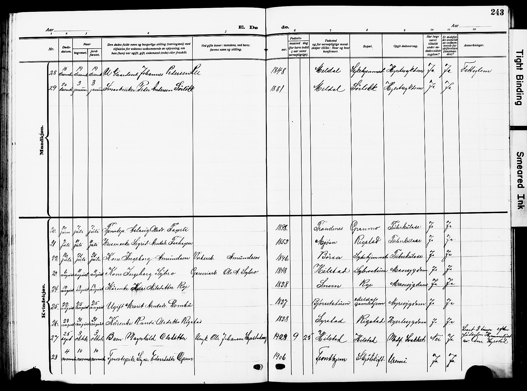 Ministerialprotokoller, klokkerbøker og fødselsregistre - Sør-Trøndelag, SAT/A-1456/672/L0865: Parish register (copy) no. 672C04, 1914-1928, p. 243
